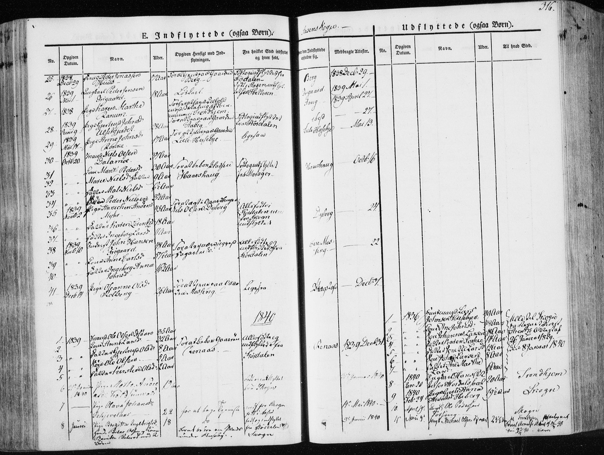 Ministerialprotokoller, klokkerbøker og fødselsregistre - Nord-Trøndelag, AV/SAT-A-1458/713/L0115: Parish register (official) no. 713A06, 1838-1851, p. 316