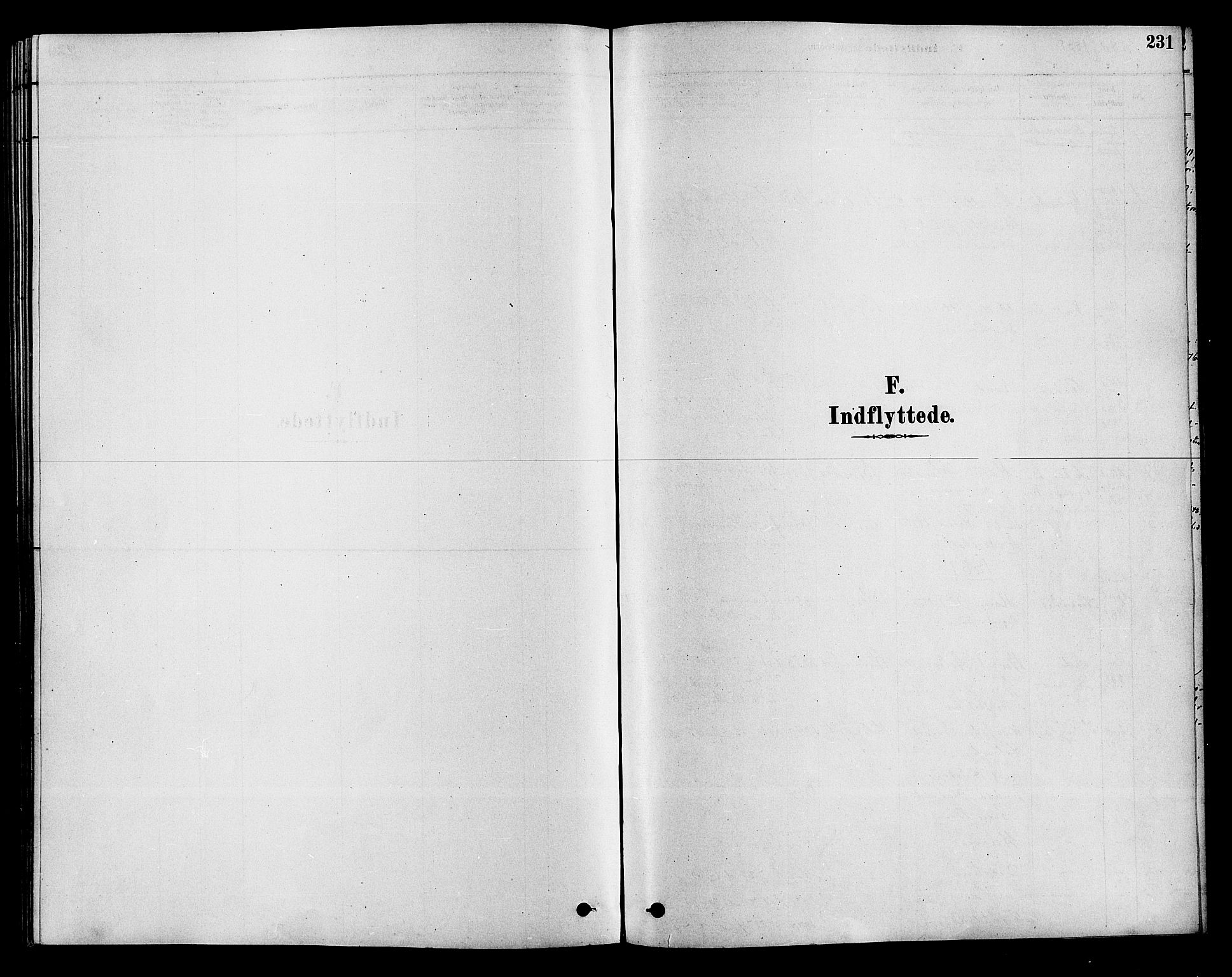 Hole kirkebøker, SAKO/A-228/F/Fa/L0008: Parish register (official) no. I 8, 1878-1891, p. 231