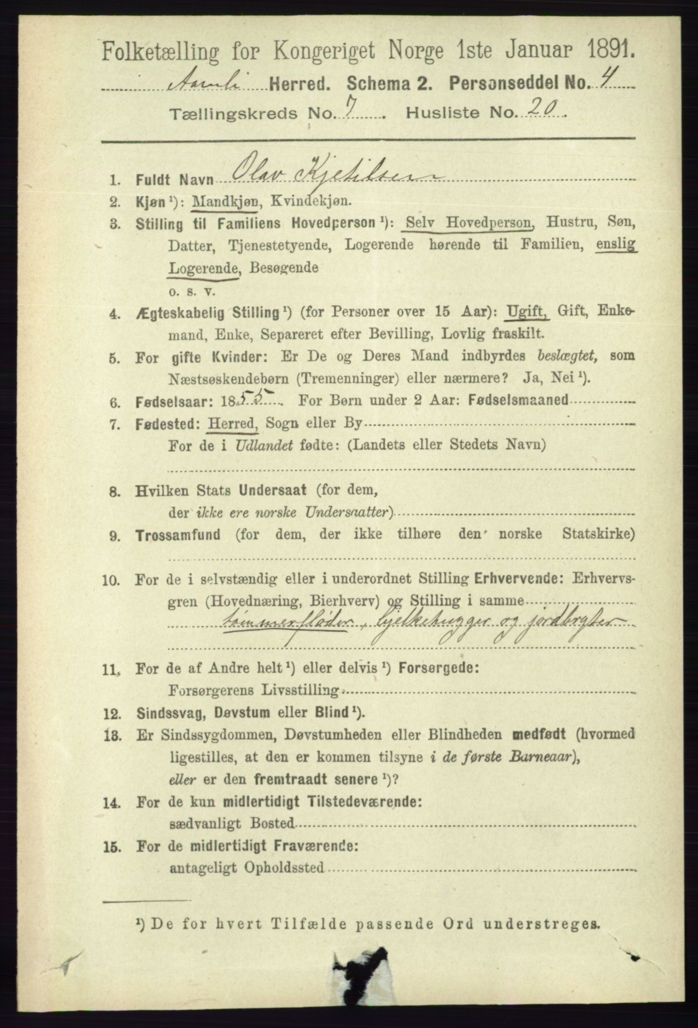 RA, 1891 census for 0929 Åmli, 1891, p. 1063