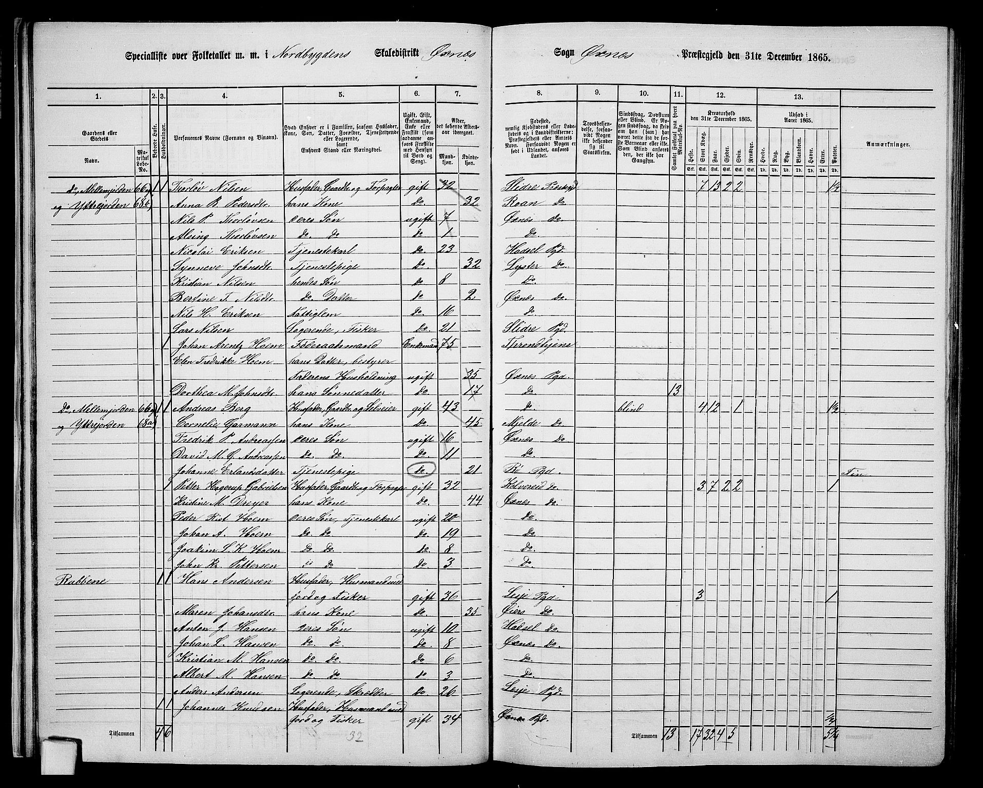 RA, 1865 census for Øksnes, 1865, p. 33