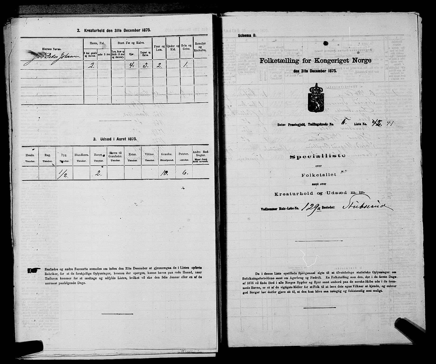 SAKO, 1875 census for 0715P Botne, 1875, p. 469