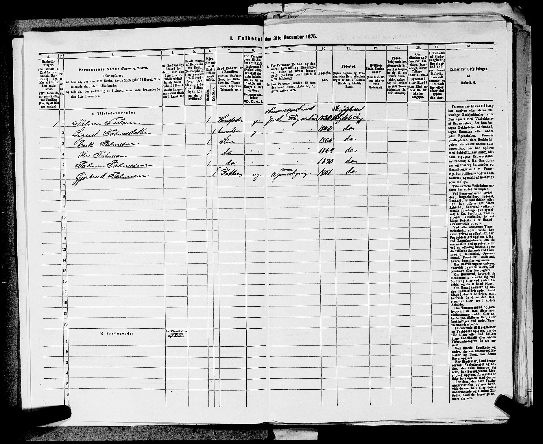 SAKO, 1875 census for 0621P Sigdal, 1875, p. 1163