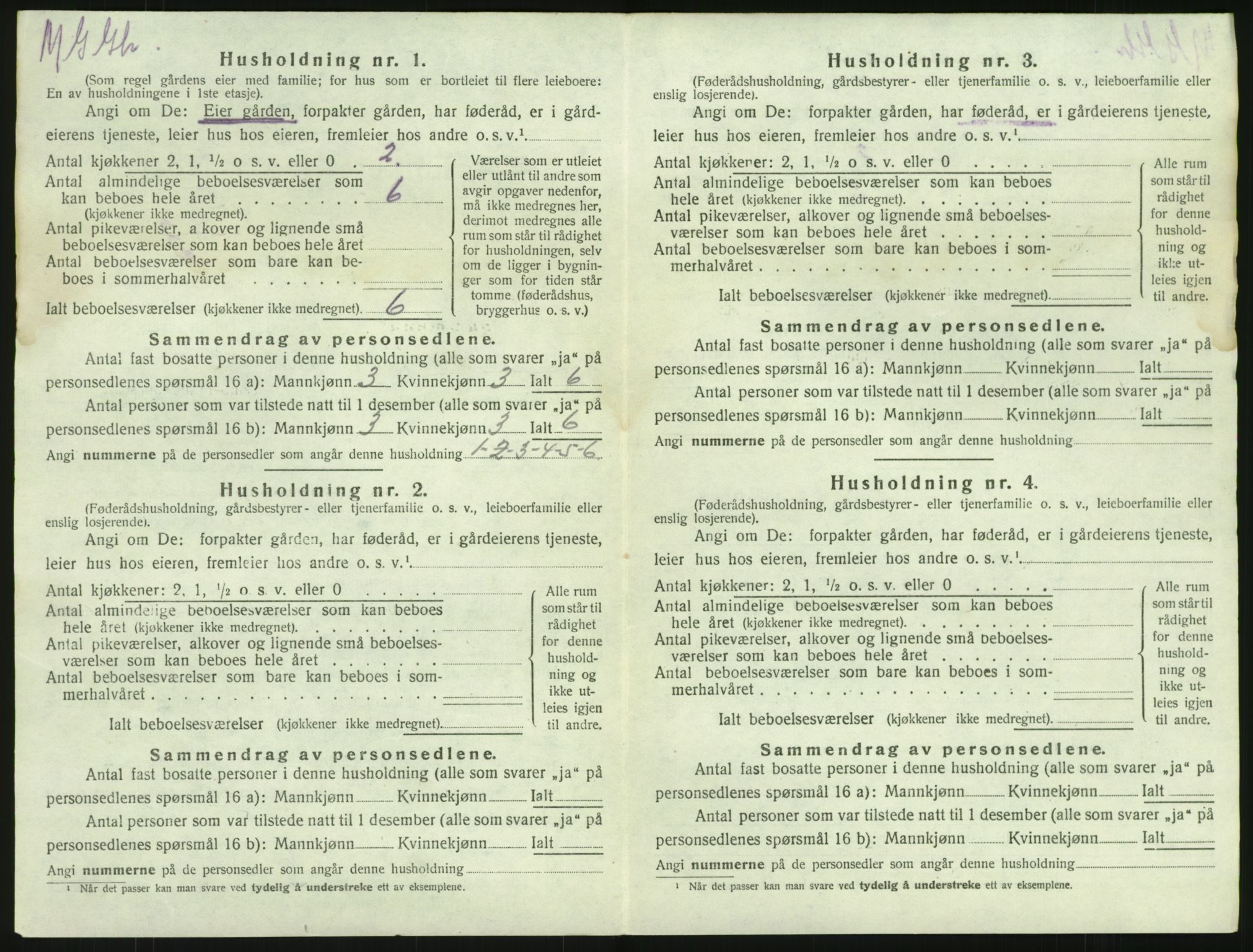 SAKO, 1920 census for Brunlanes, 1920, p. 500