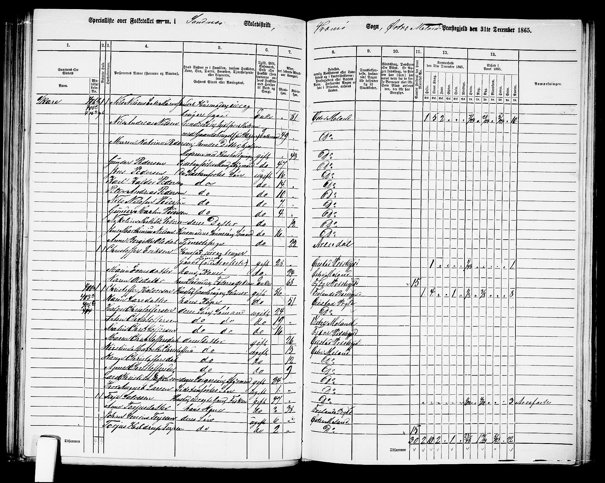 RA, 1865 census for Austre Moland, 1865, p. 194