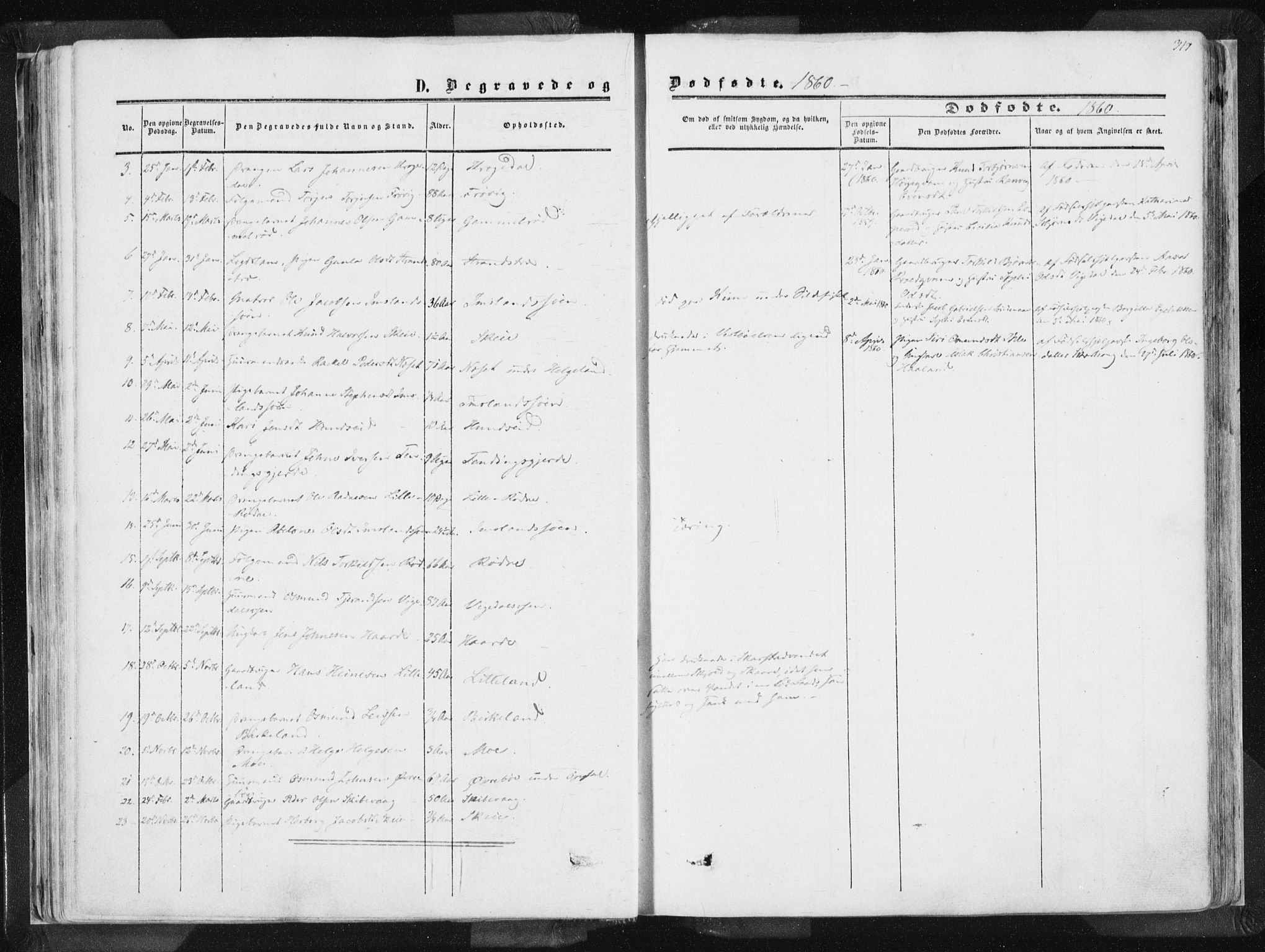 Vikedal sokneprestkontor, SAST/A-101840/01/IV: Parish register (official) no. A 6.2, 1851-1867, p. 317