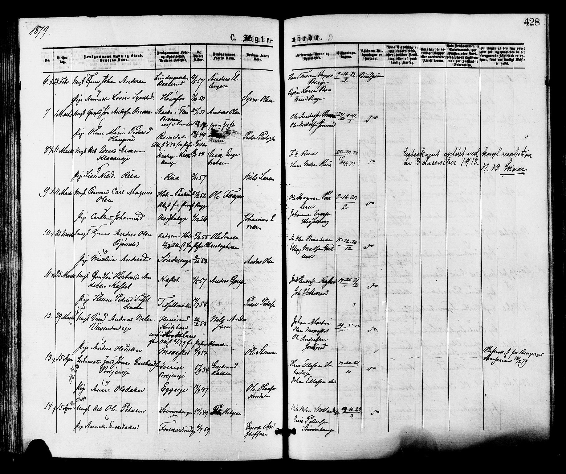 Norderhov kirkebøker, AV/SAKO-A-237/F/Fa/L0015: Parish register (official) no. 15, 1875-1884, p. 428