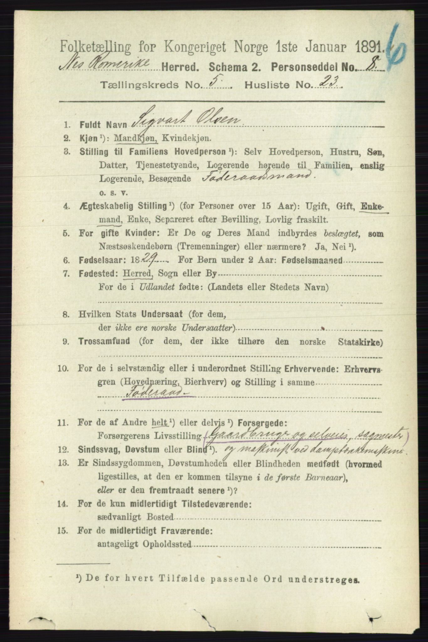 RA, 1891 census for 0236 Nes, 1891, p. 2923