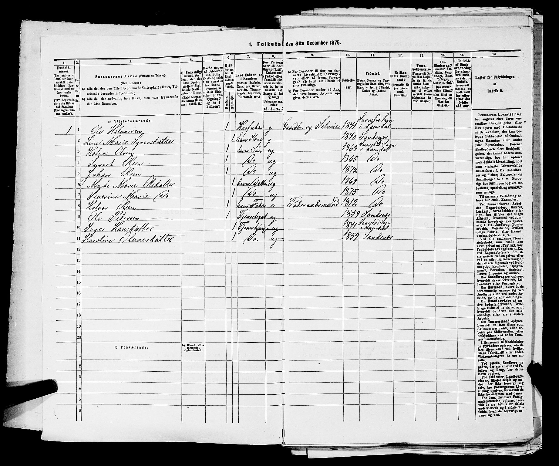 SAKO, 1875 census for 0728P Lardal, 1875, p. 41