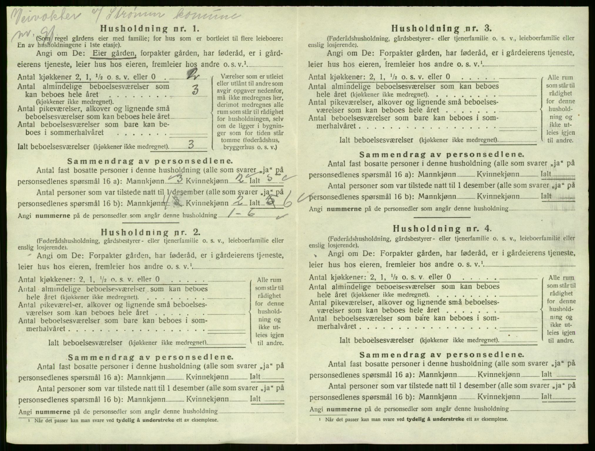 SAKO, 1920 census for Strømm, 1920, p. 438