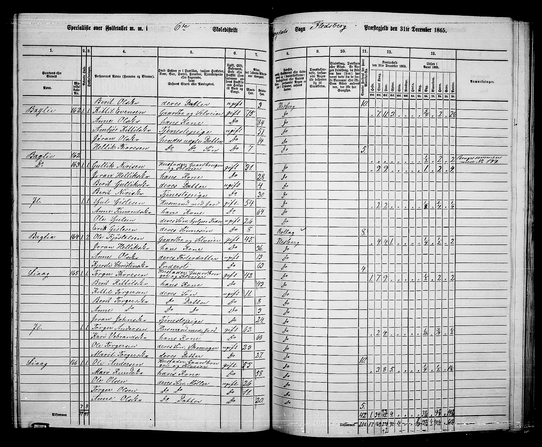 RA, 1865 census for Flesberg, 1865, p. 114