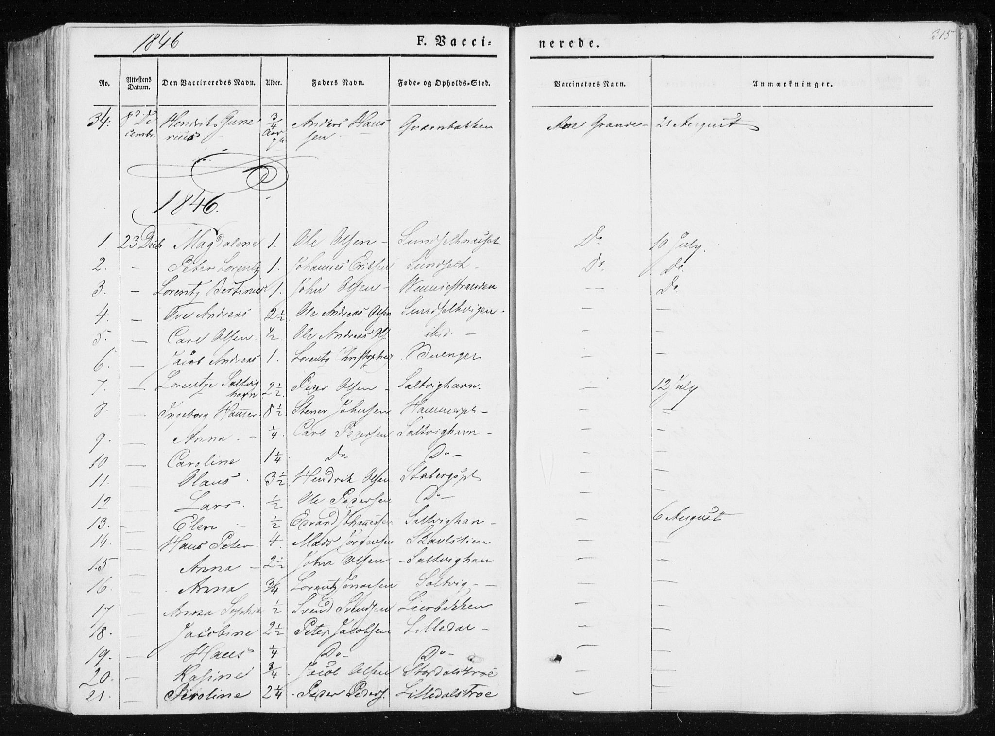 Ministerialprotokoller, klokkerbøker og fødselsregistre - Nord-Trøndelag, SAT/A-1458/733/L0323: Parish register (official) no. 733A02, 1843-1870, p. 315