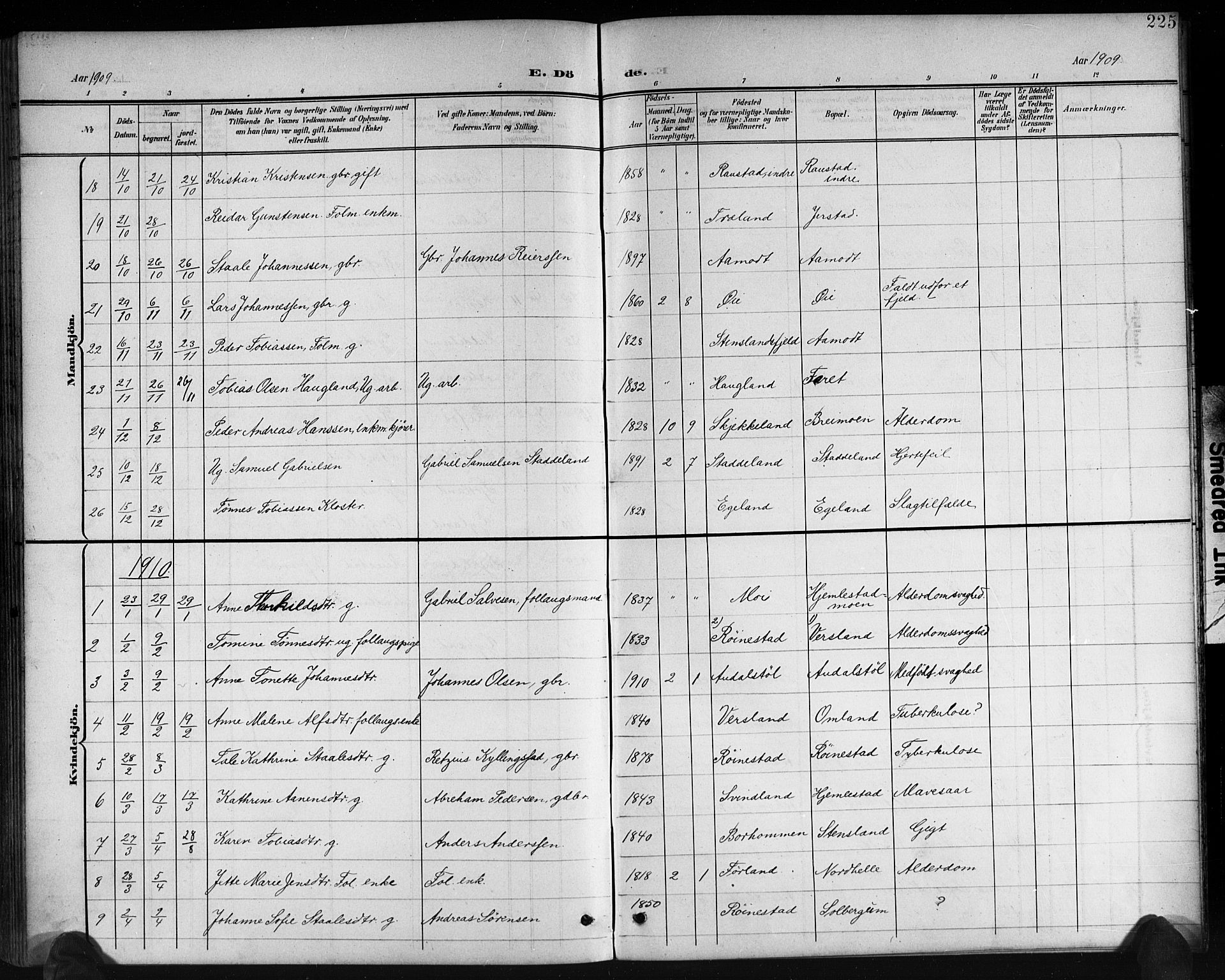 Kvinesdal sokneprestkontor, SAK/1111-0026/F/Fb/Fbb/L0003: Parish register (copy) no. B 3, 1898-1916, p. 225