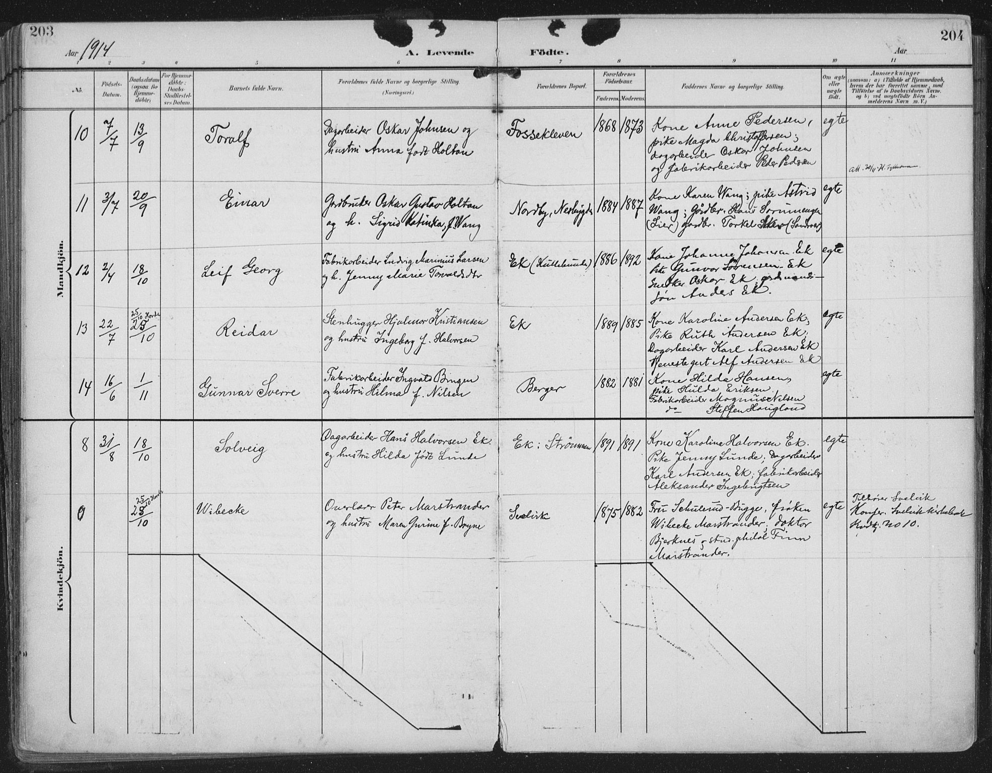 Strømm kirkebøker, AV/SAKO-A-322/F/Fa/L0005: Parish register (official) no. I 5, 1898-1919, p. 203-204