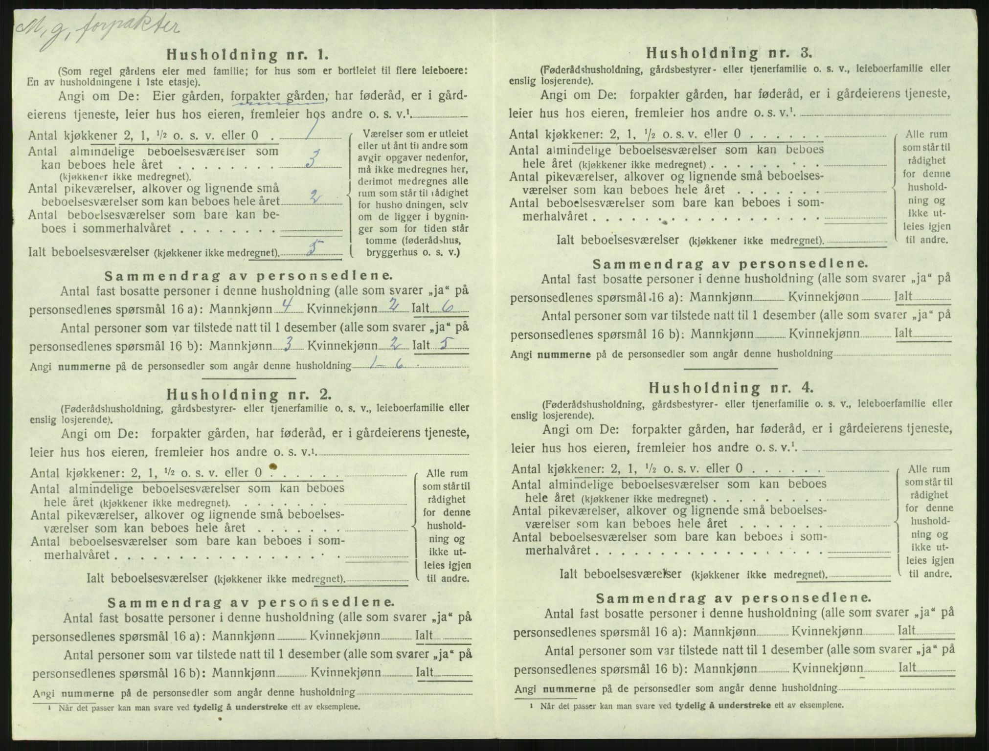 SAK, 1920 census for Holt, 1920, p. 729