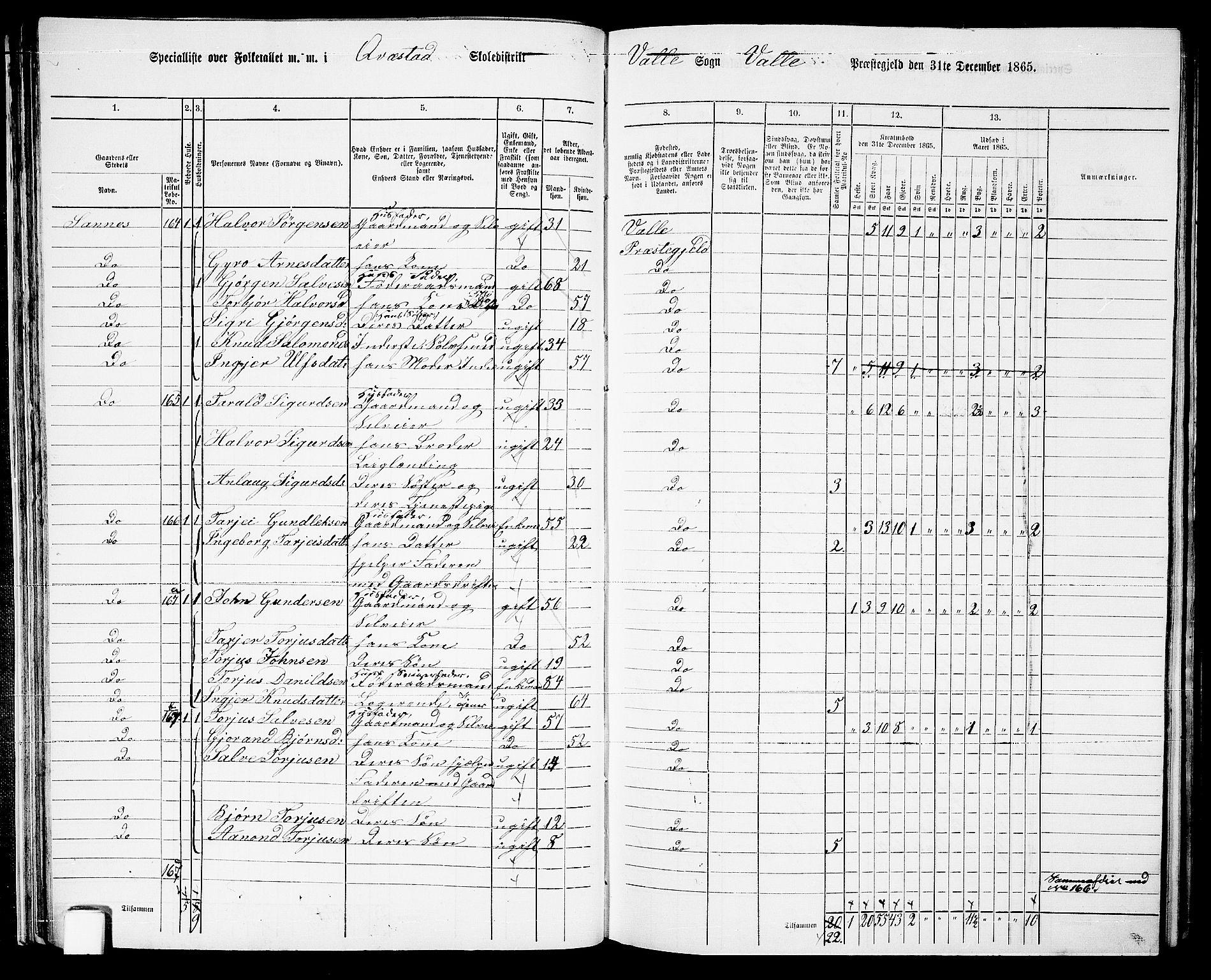 RA, 1865 census for Valle, 1865, p. 43