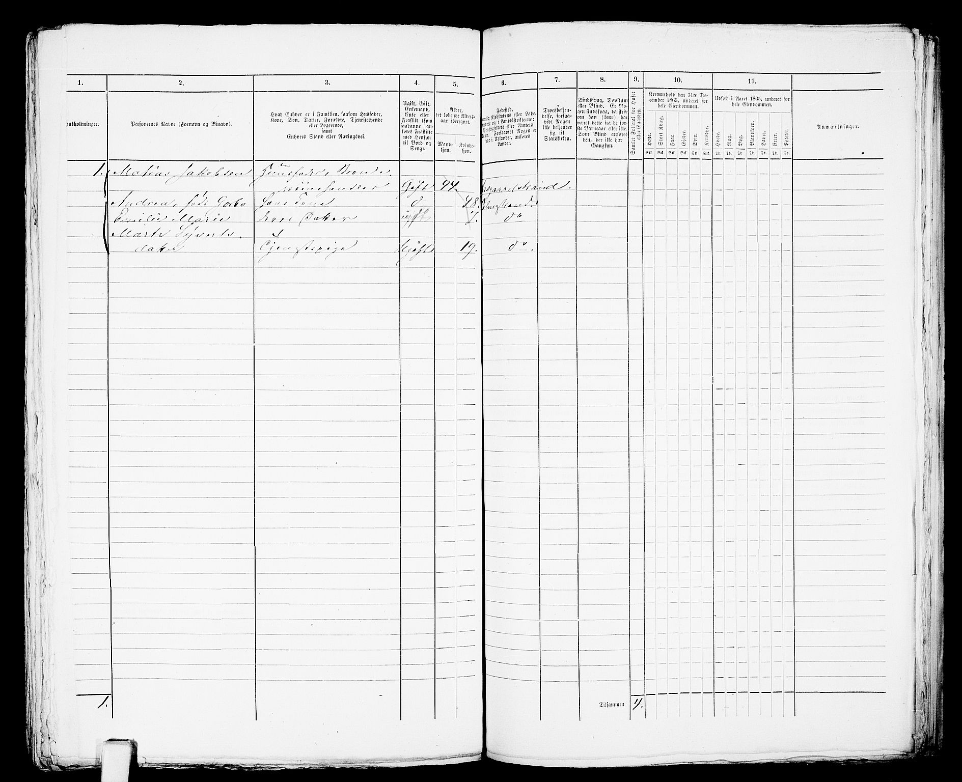 RA, 1865 census for Botne/Holmestrand, 1865, p. 301