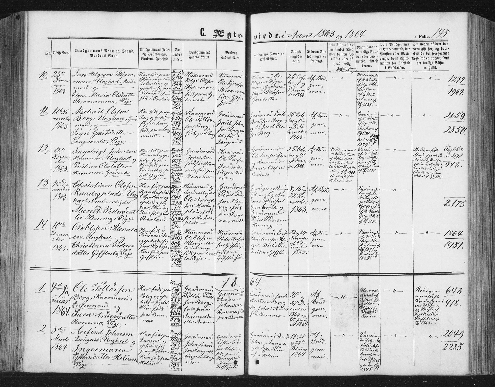 Ministerialprotokoller, klokkerbøker og fødselsregistre - Nord-Trøndelag, SAT/A-1458/749/L0472: Parish register (official) no. 749A06, 1857-1873, p. 145