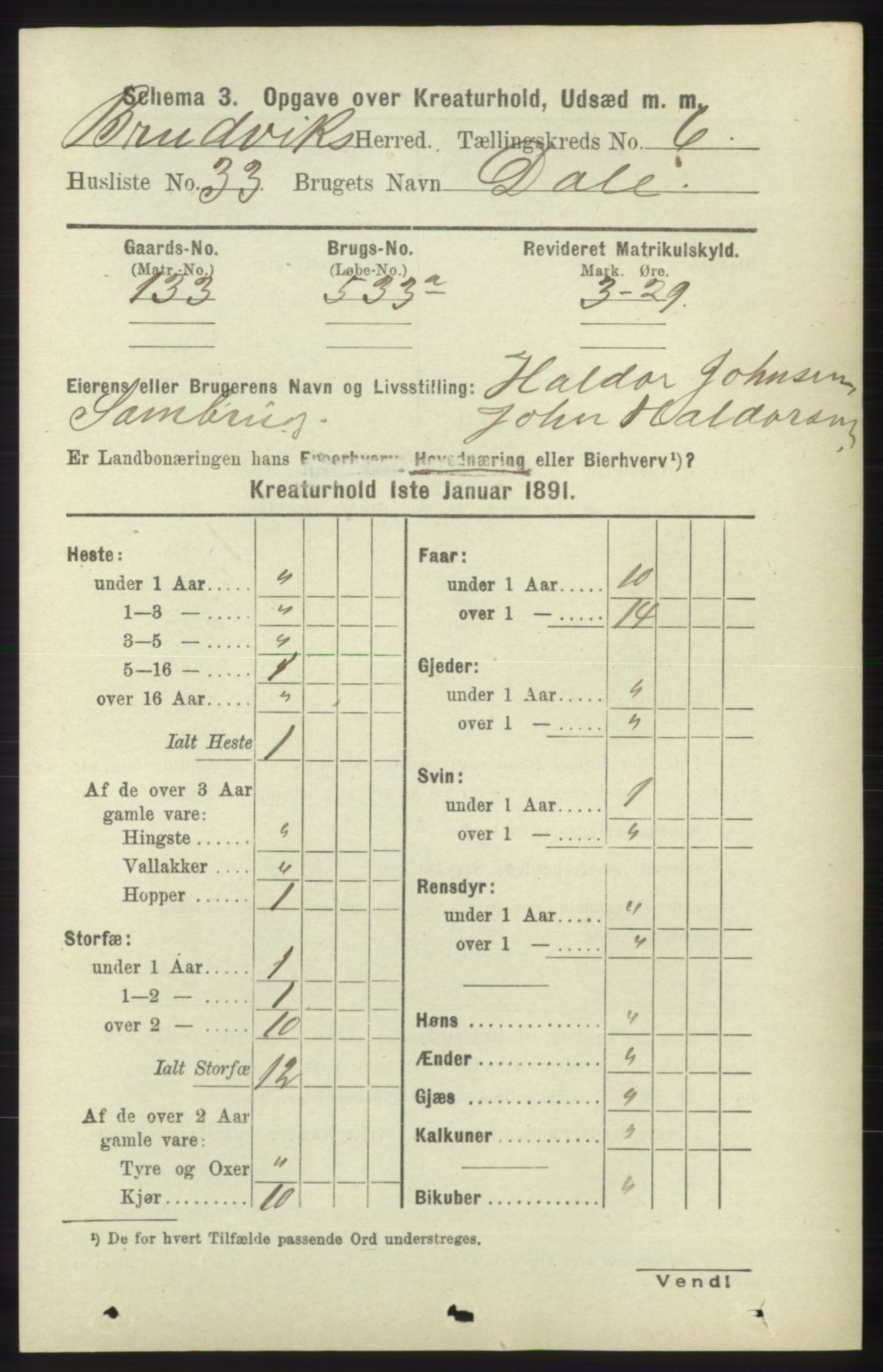 RA, 1891 census for 1251 Bruvik, 1891, p. 4622