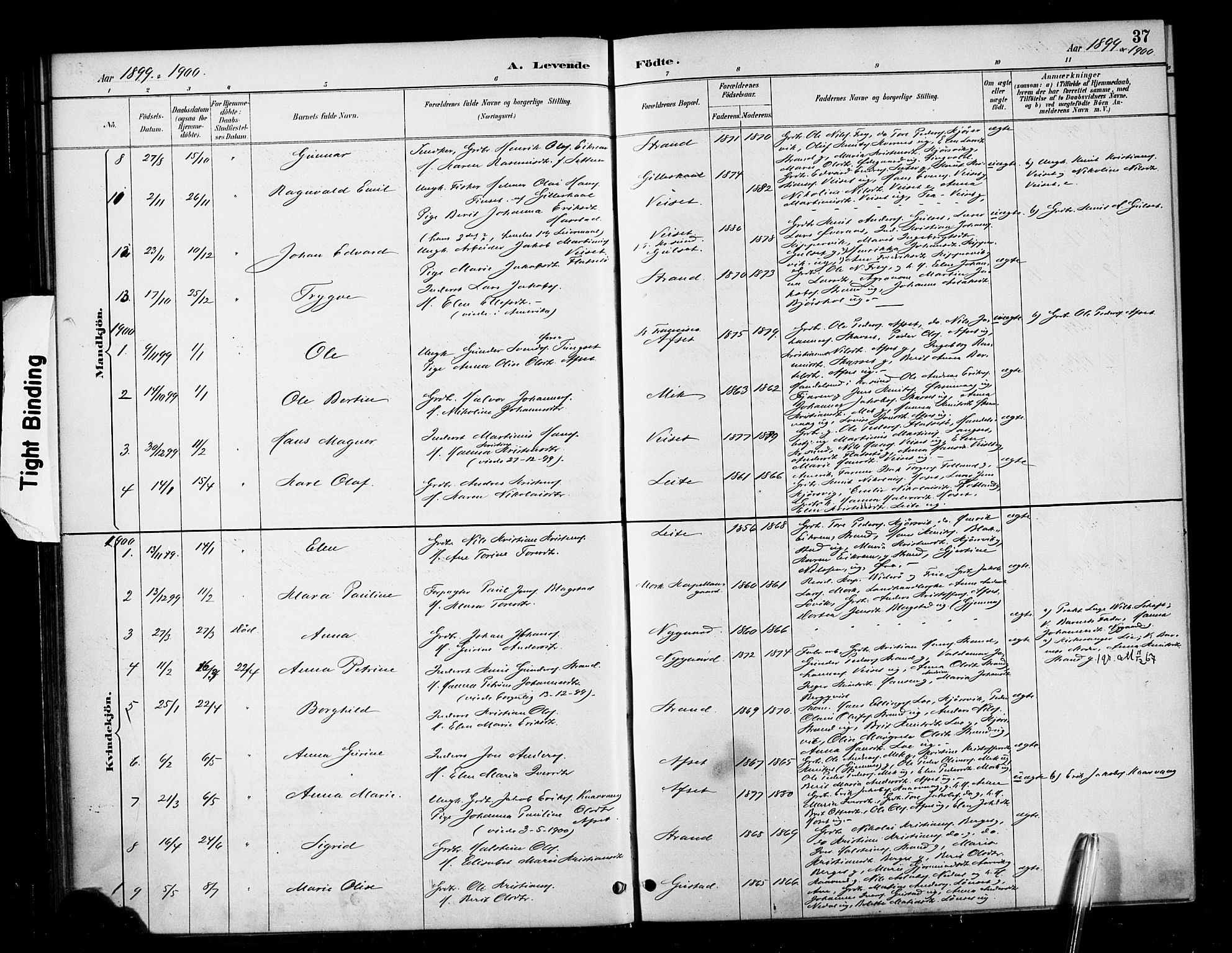Ministerialprotokoller, klokkerbøker og fødselsregistre - Møre og Romsdal, AV/SAT-A-1454/568/L0809: Parish register (official) no. 568A13, 1884-1900, p. 37