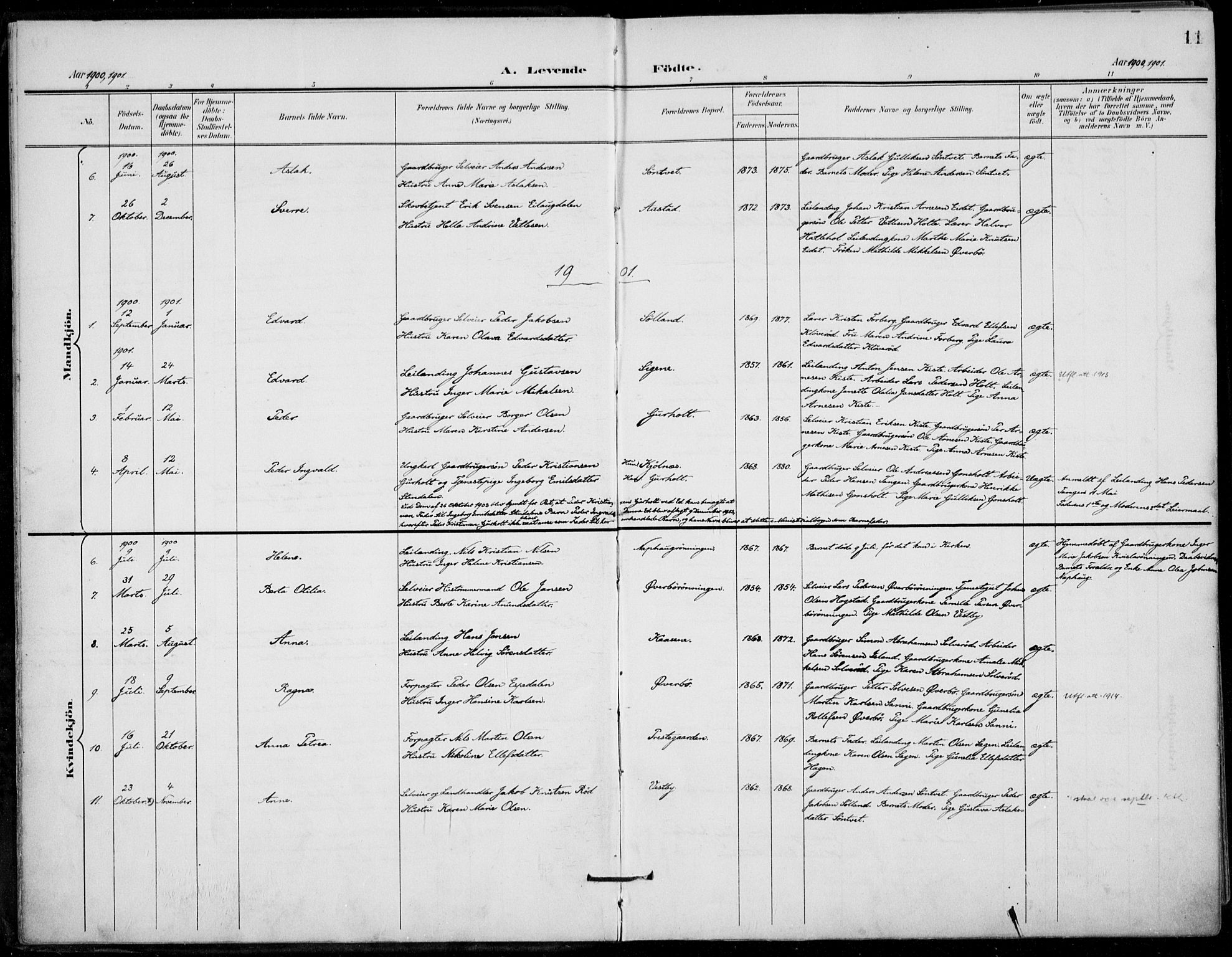 Siljan kirkebøker, SAKO/A-300/F/Fa/L0003: Parish register (official) no. 3, 1896-1910, p. 11
