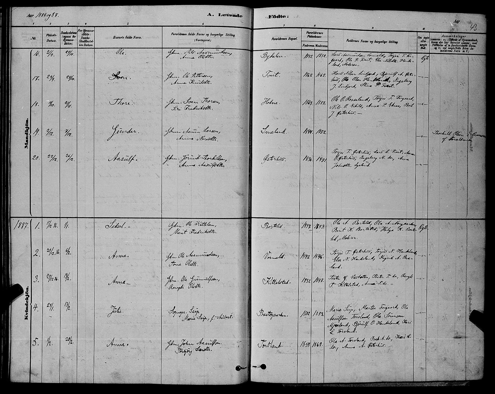 Åseral sokneprestkontor, AV/SAK-1111-0051/F/Fb/L0002: Parish register (copy) no. B 2, 1878-1899, p. 43