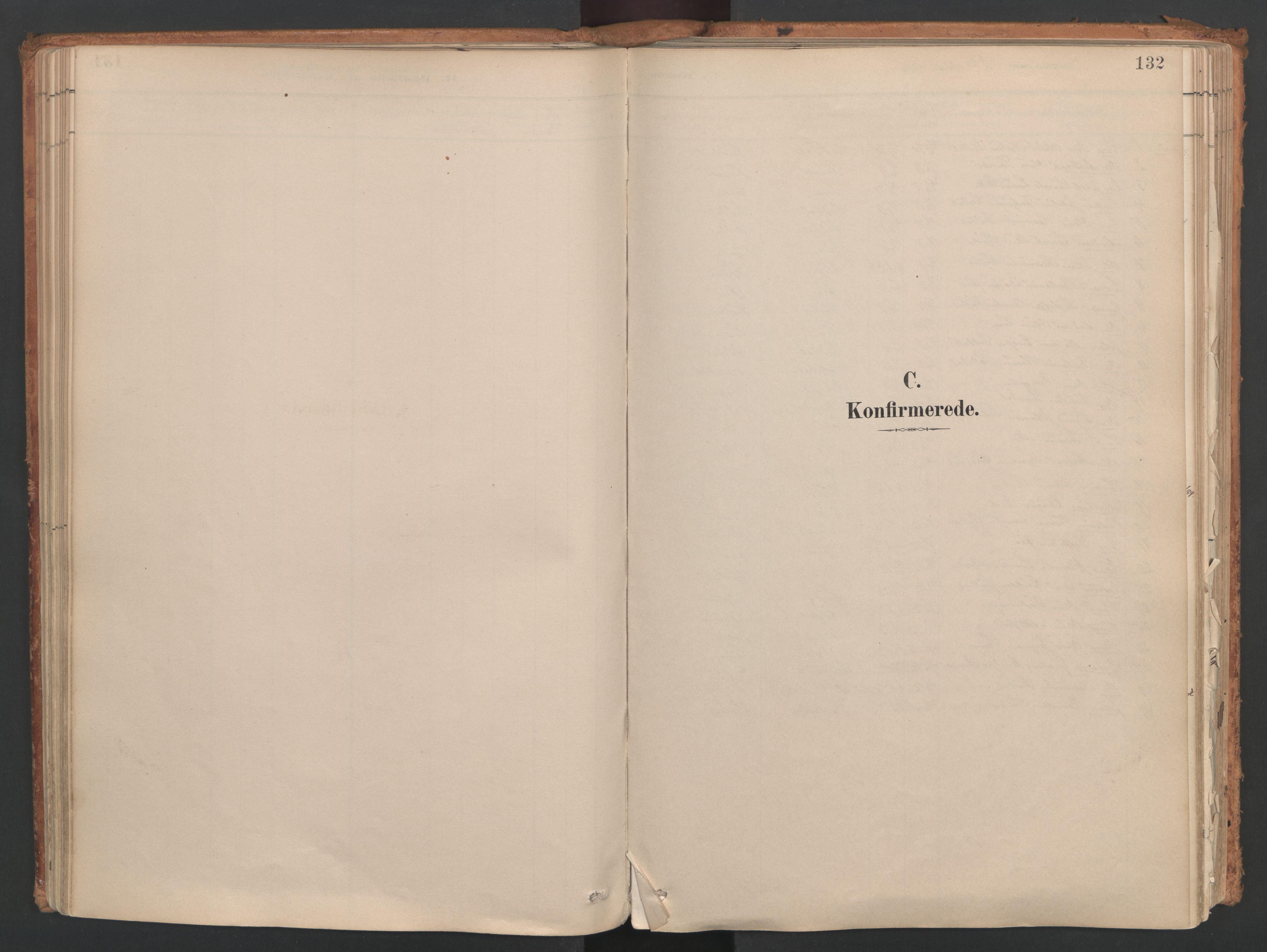 Ministerialprotokoller, klokkerbøker og fødselsregistre - Møre og Romsdal, SAT/A-1454/515/L0211: Parish register (official) no. 515A07, 1886-1910, p. 132