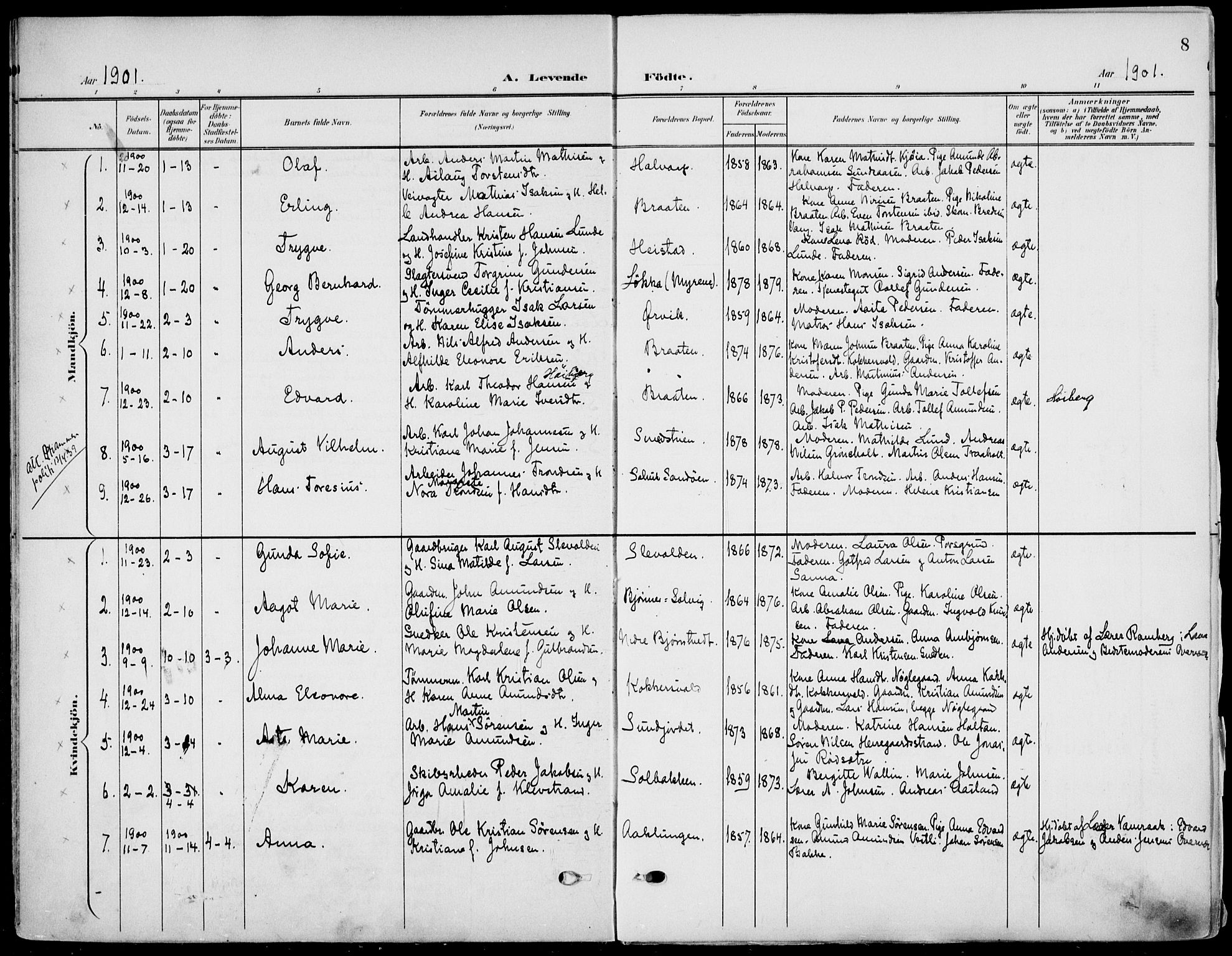 Eidanger kirkebøker, SAKO/A-261/F/Fa/L0013: Parish register (official) no. 13, 1900-1913, p. 8