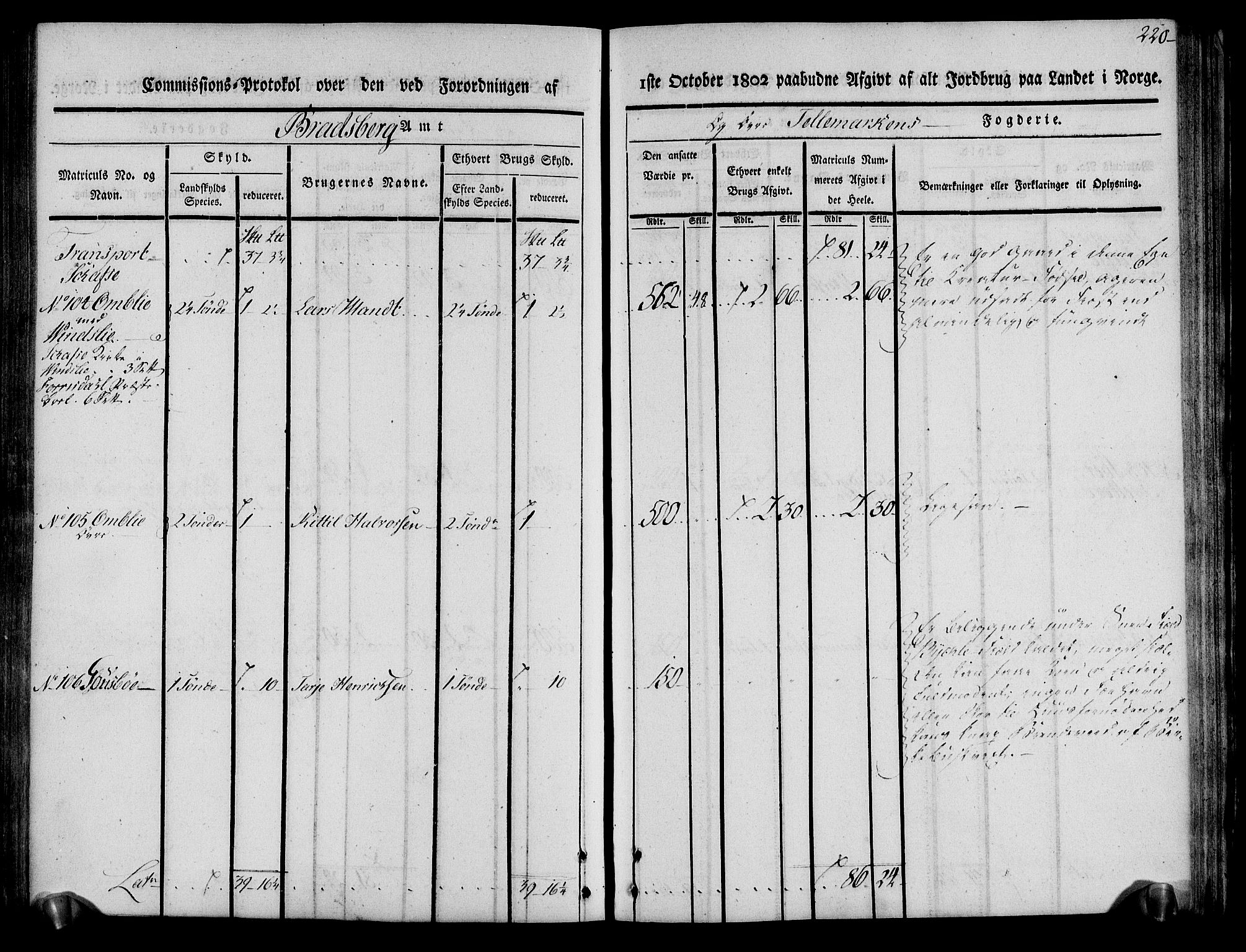 Rentekammeret inntil 1814, Realistisk ordnet avdeling, AV/RA-EA-4070/N/Ne/Nea/L0075: Øvre Telemarken fogderi. Kommisjonsprotokoll for fogderiets vestre del - Kviteseid, Vinje, Moland [):Fyresdal] og Lårdal prestegjeld., 1803, p. 222