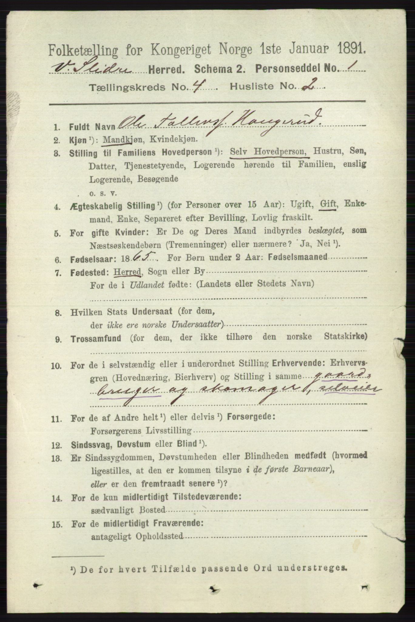 RA, 1891 census for 0543 Vestre Slidre, 1891, p. 1260