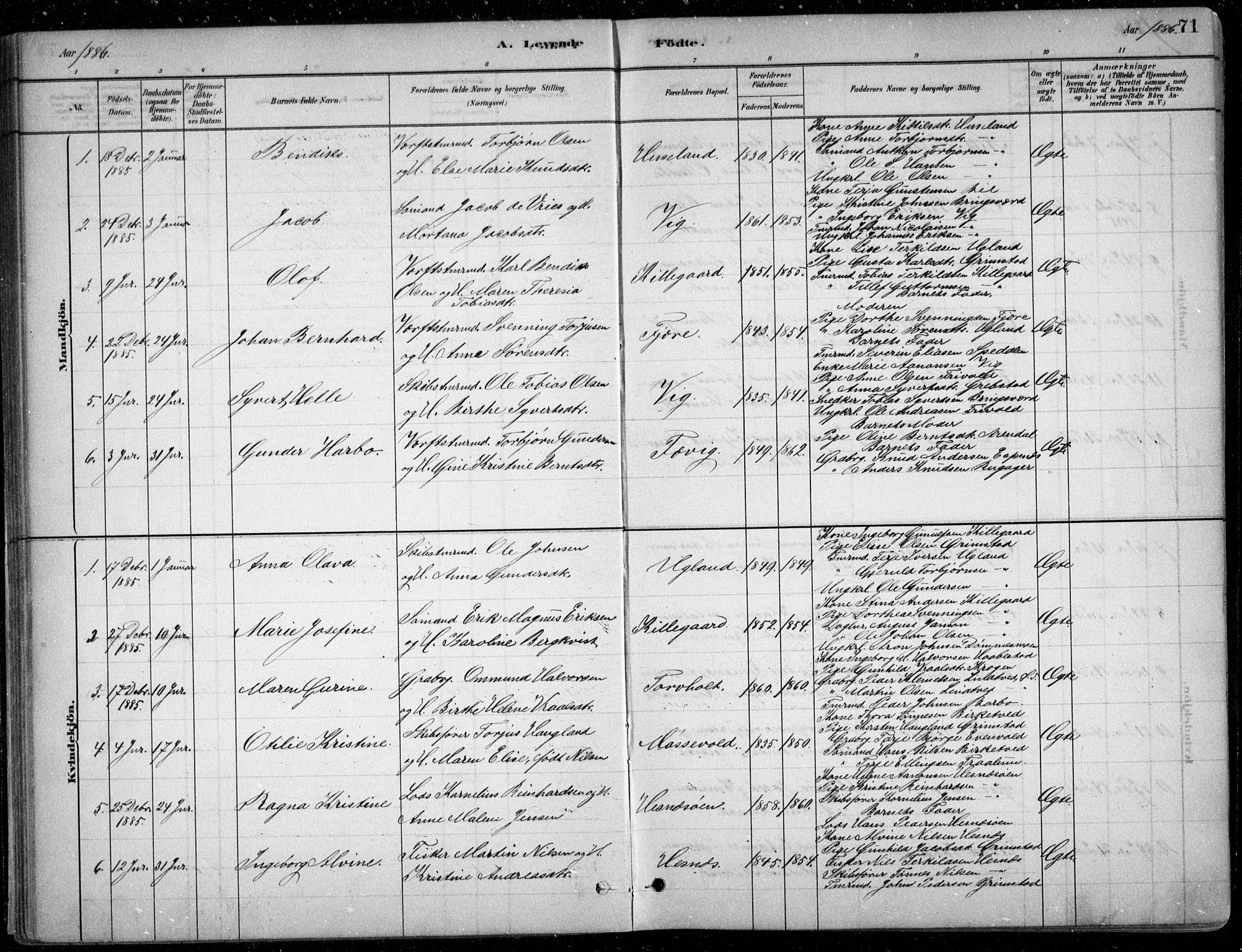 Fjære sokneprestkontor, SAK/1111-0011/F/Fb/L0011: Parish register (copy) no. B 11, 1881-1905, p. 71
