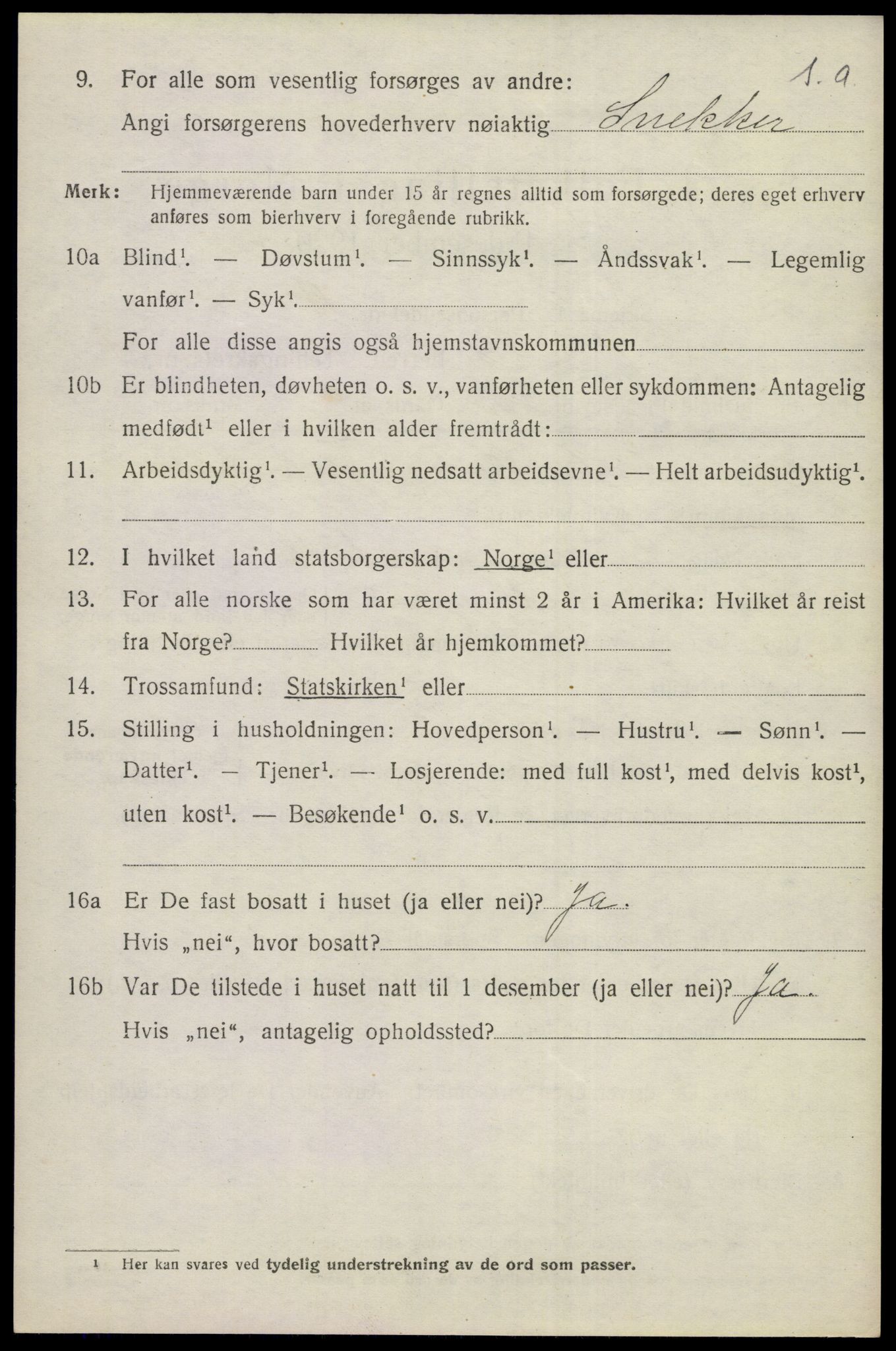 SAKO, 1920 census for Nes (Buskerud), 1920, p. 5061