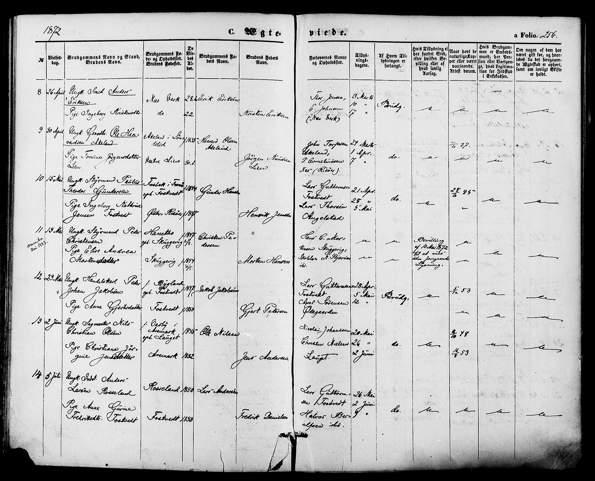 Holt sokneprestkontor, AV/SAK-1111-0021/F/Fa/L0010: Parish register (official) no. A 10, 1872-1885, p. 256