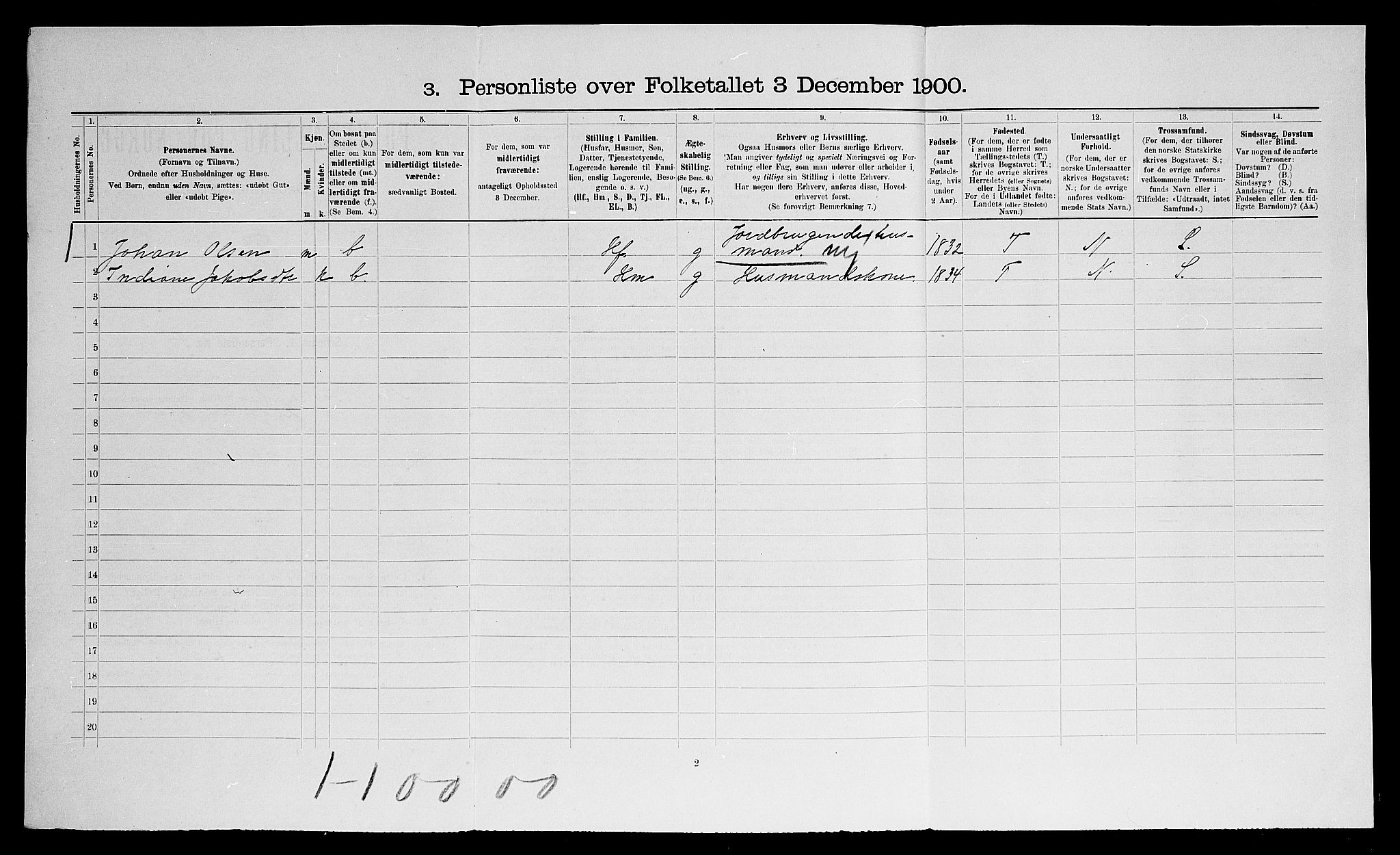 SAO, 1900 census for Nes, 1900