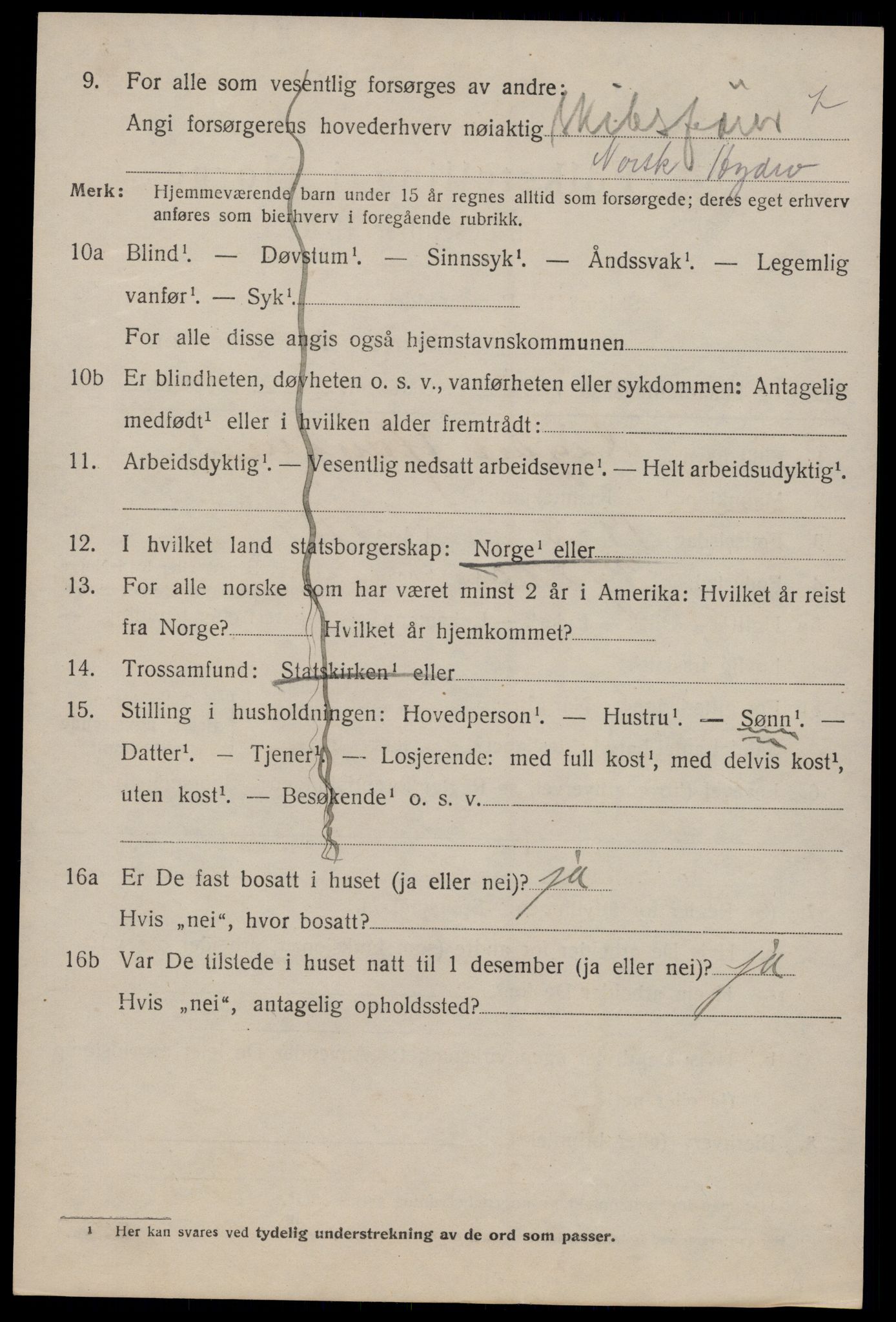 SAKO, 1920 census for Tinn, 1920, p. 8847