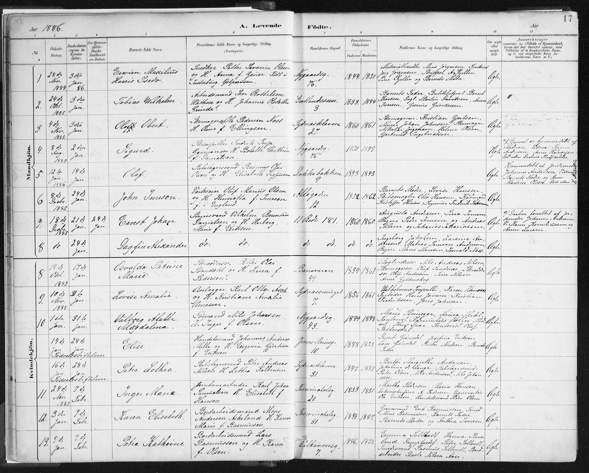 Johanneskirken sokneprestembete, SAB/A-76001/H/Haa/L0001: Parish register (official) no. A 1, 1885-1900, p. 17