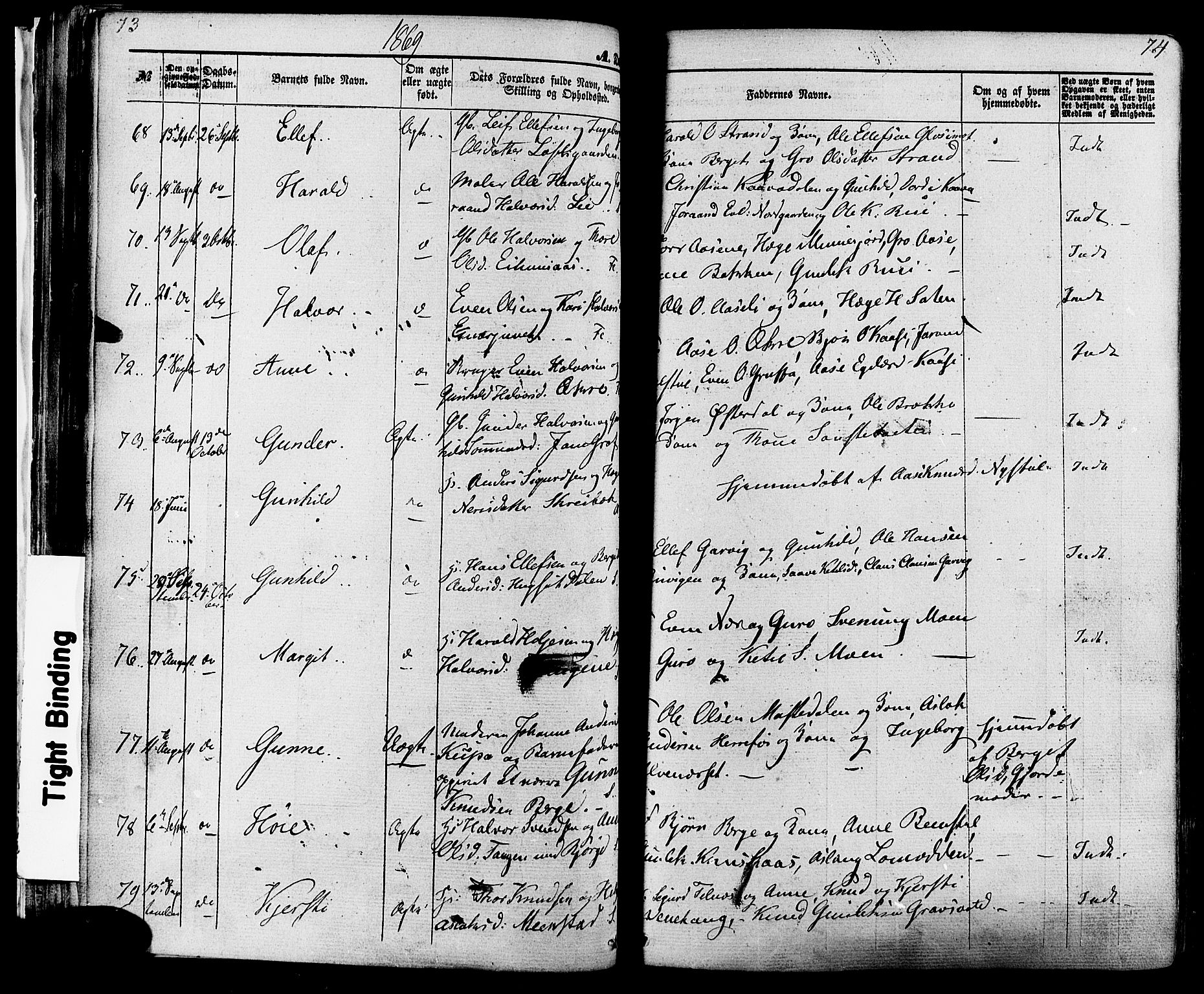 Seljord kirkebøker, AV/SAKO-A-20/F/Fa/L0013: Parish register (official) no. I 13, 1866-1876, p. 73-74