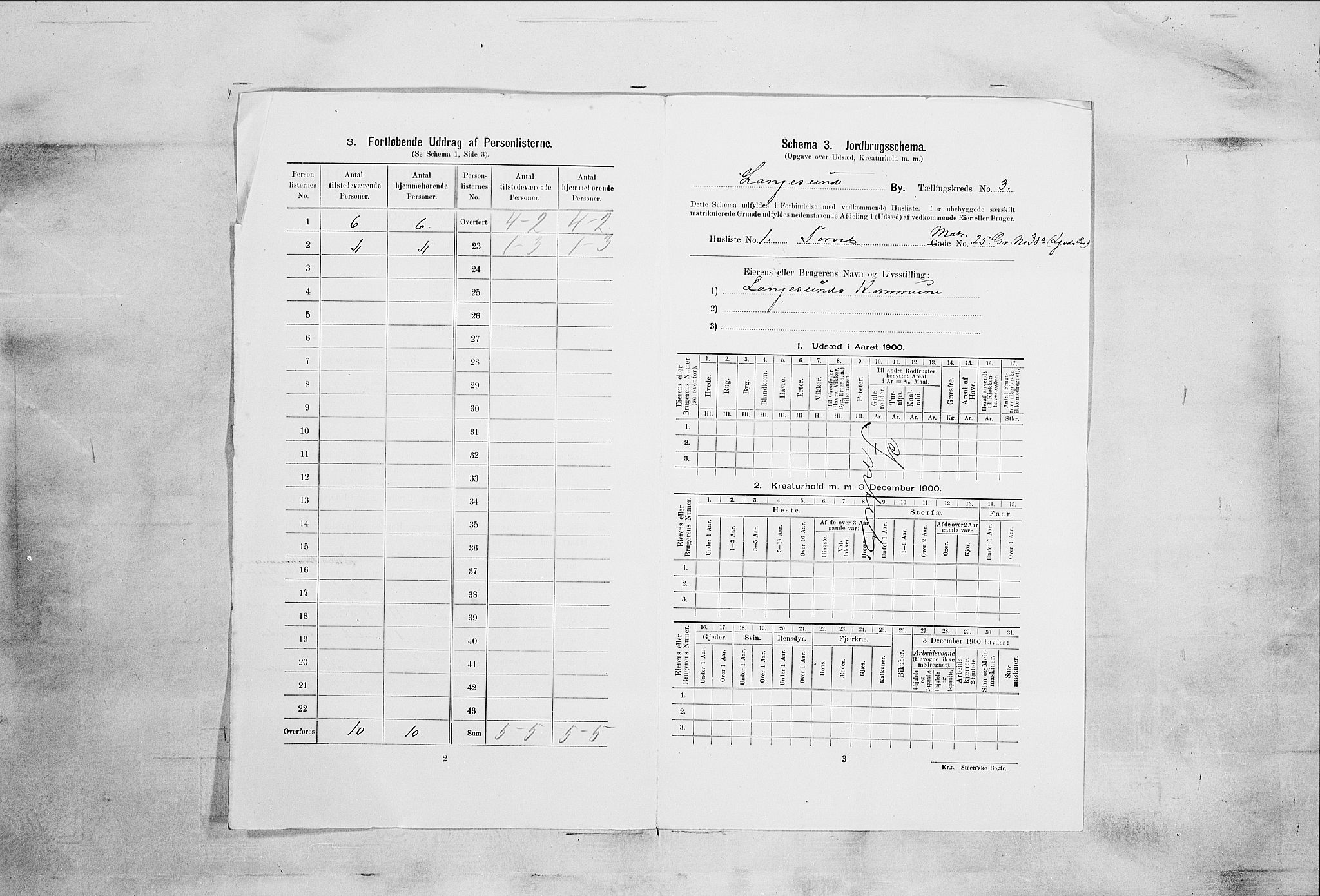 SAKO, 1900 census for Langesund, 1900, p. 802
