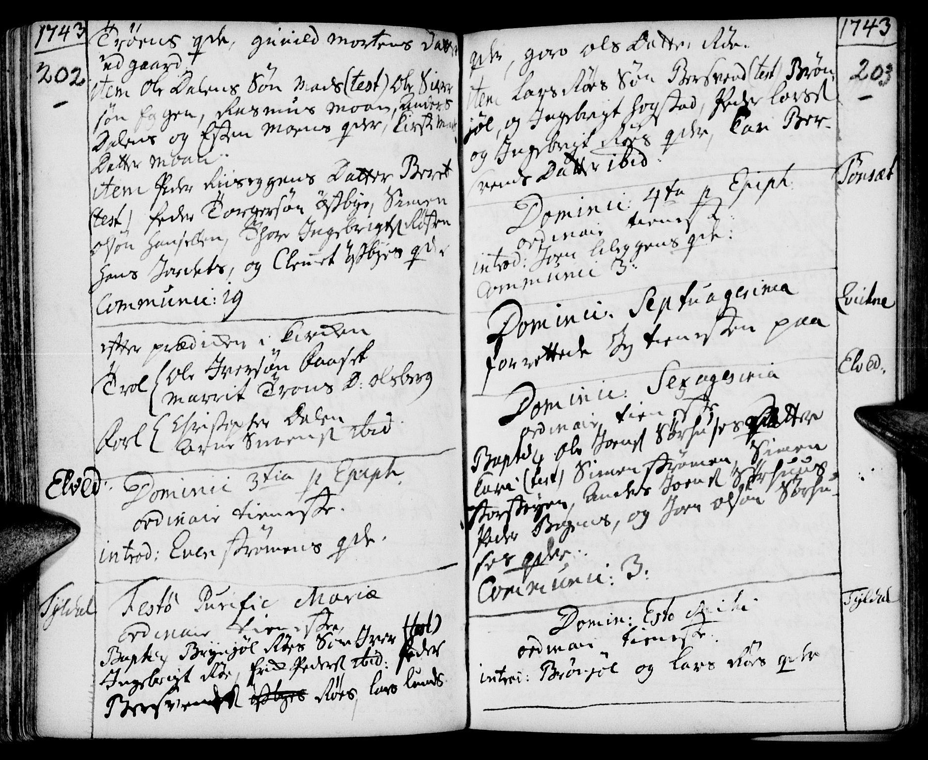 Tynset prestekontor, SAH/PREST-058/H/Ha/Haa/L0002: Parish register (official) no. 2, 1737-1767, p. 202-203