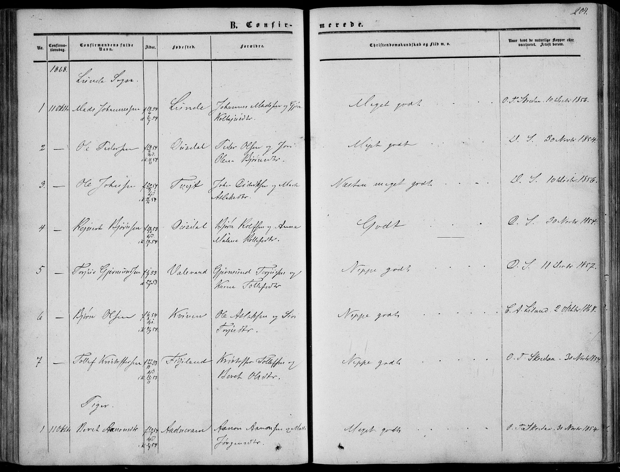 Sirdal sokneprestkontor, AV/SAK-1111-0036/F/Fa/Fab/L0002: Parish register (official) no. A 2, 1855-1874, p. 204