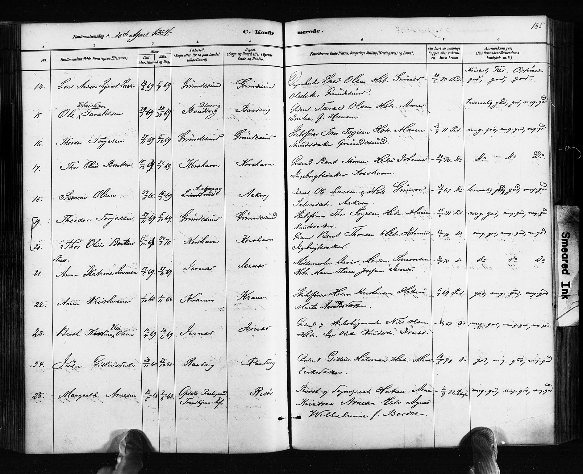 Søndeled sokneprestkontor, AV/SAK-1111-0038/F/Fa/L0004: Parish register (official) no. A 4, 1880-1889, p. 165