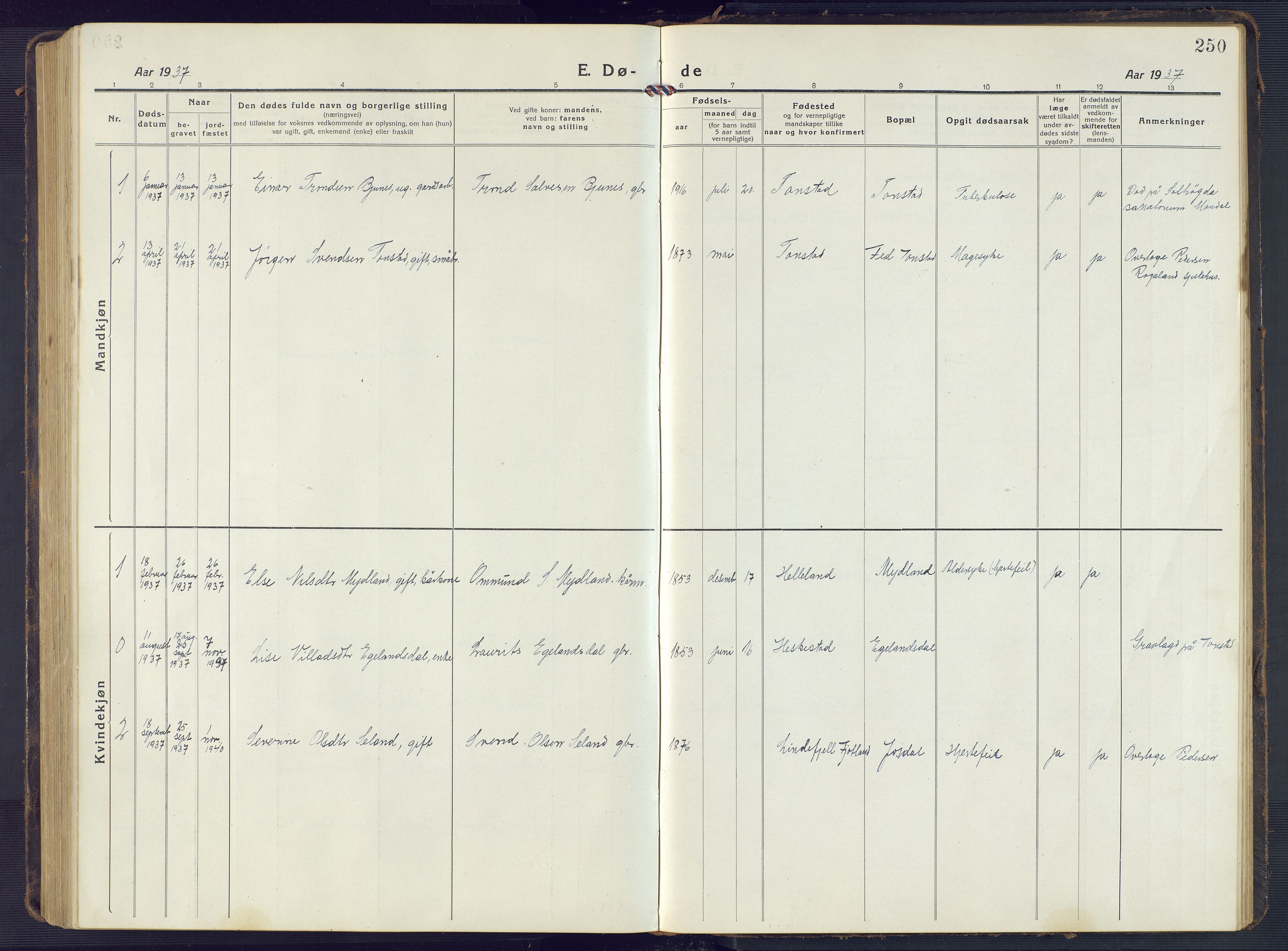 Sirdal sokneprestkontor, AV/SAK-1111-0036/F/Fb/Fbb/L0005: Parish register (copy) no. B 5, 1916-1960, p. 250