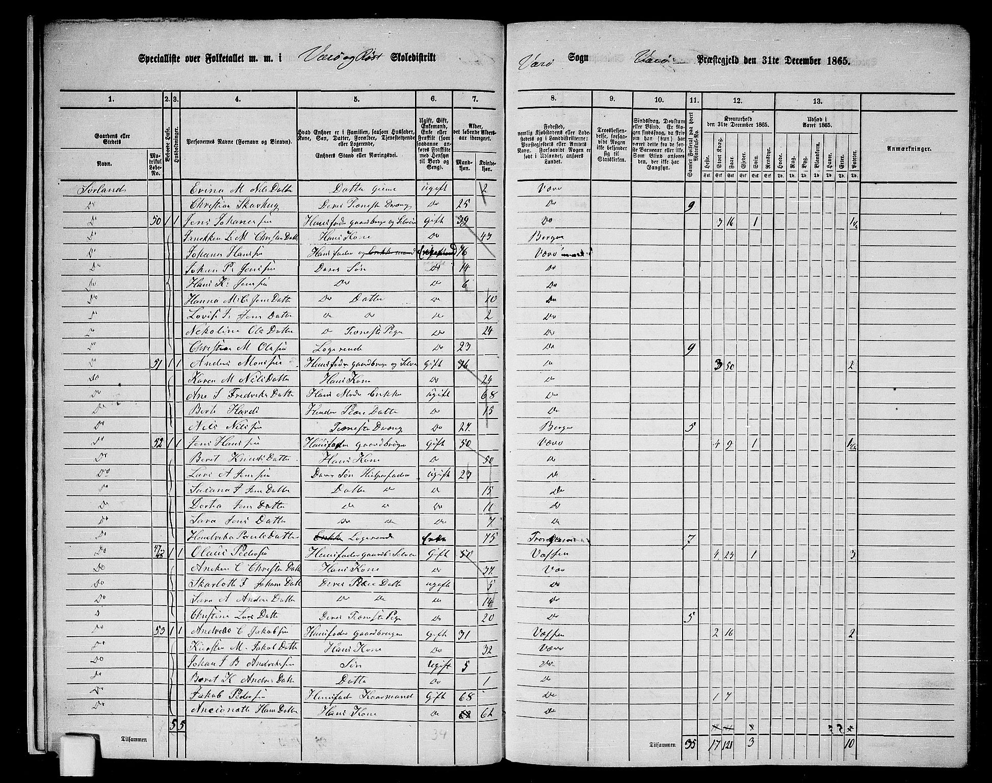 RA, 1865 census for Værøy, 1865, p. 12