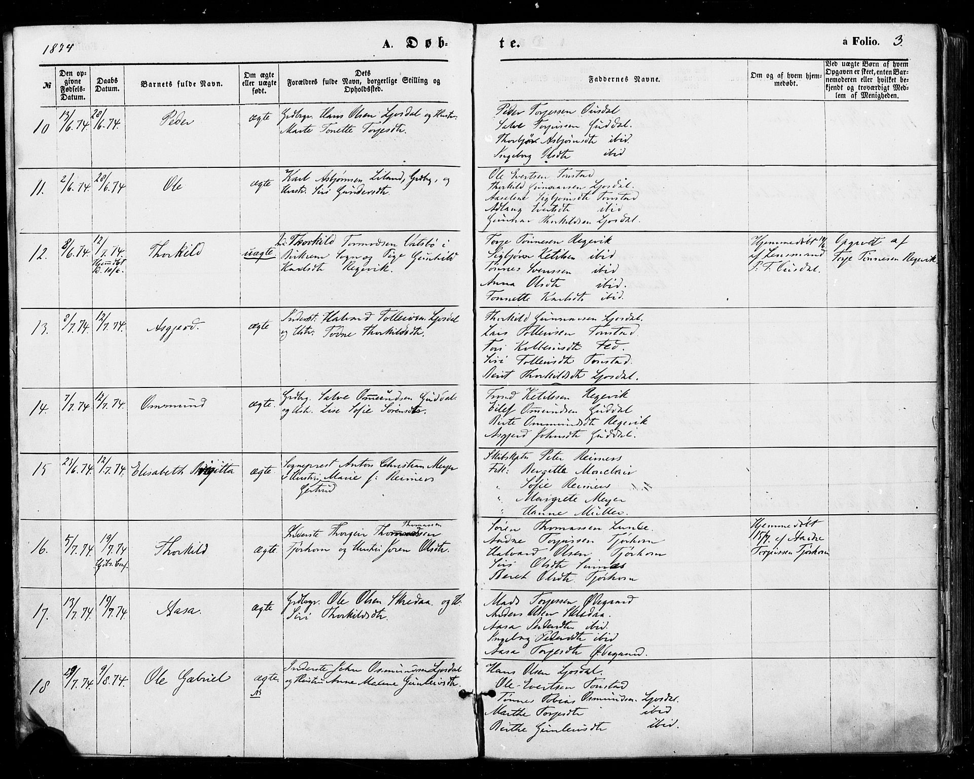 Sirdal sokneprestkontor, AV/SAK-1111-0036/F/Fa/Fab/L0003: Parish register (official) no. A 3, 1874-1886, p. 3