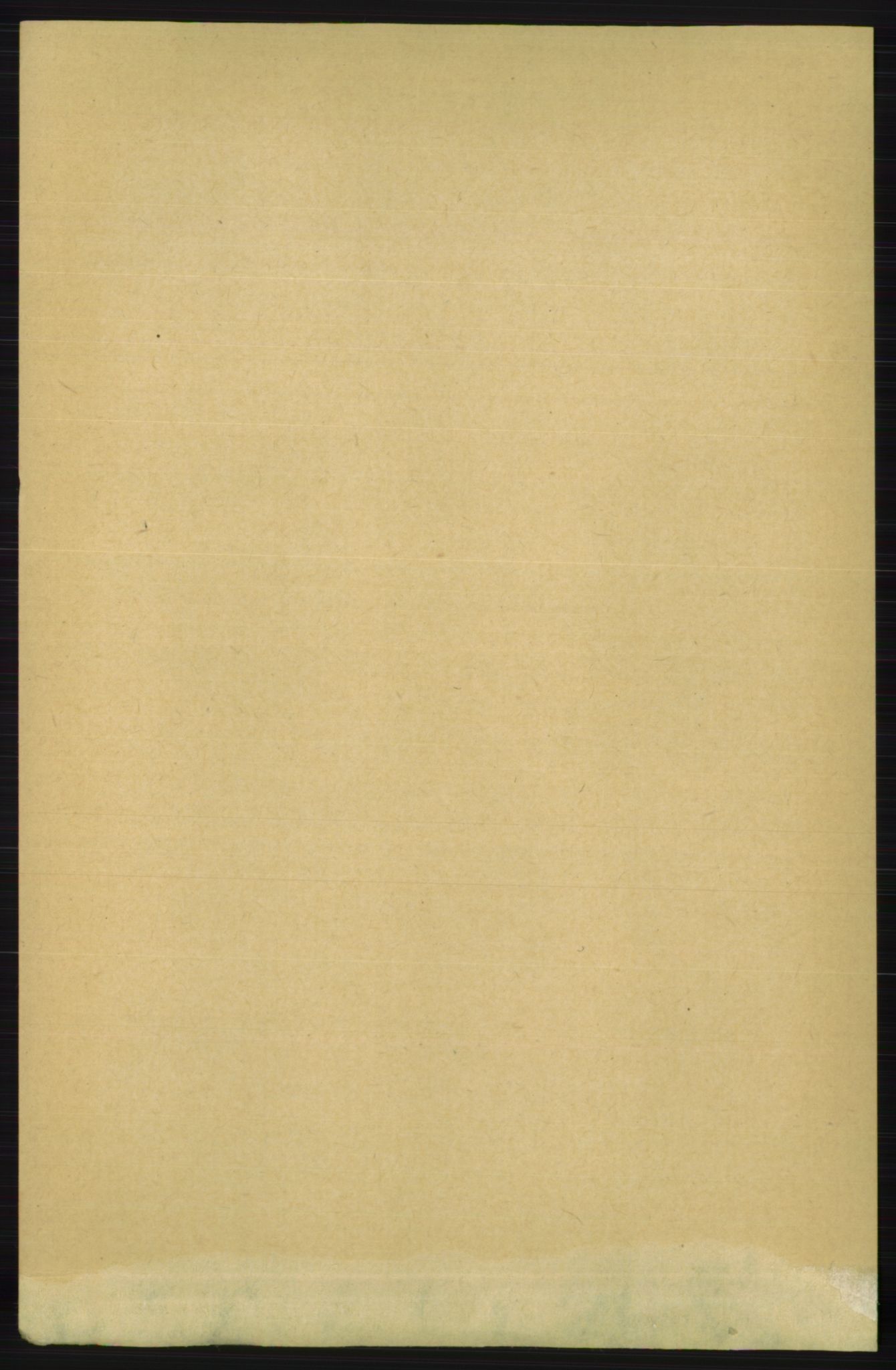 RA, 1891 census for 1150 Skudenes, 1891, p. 3390