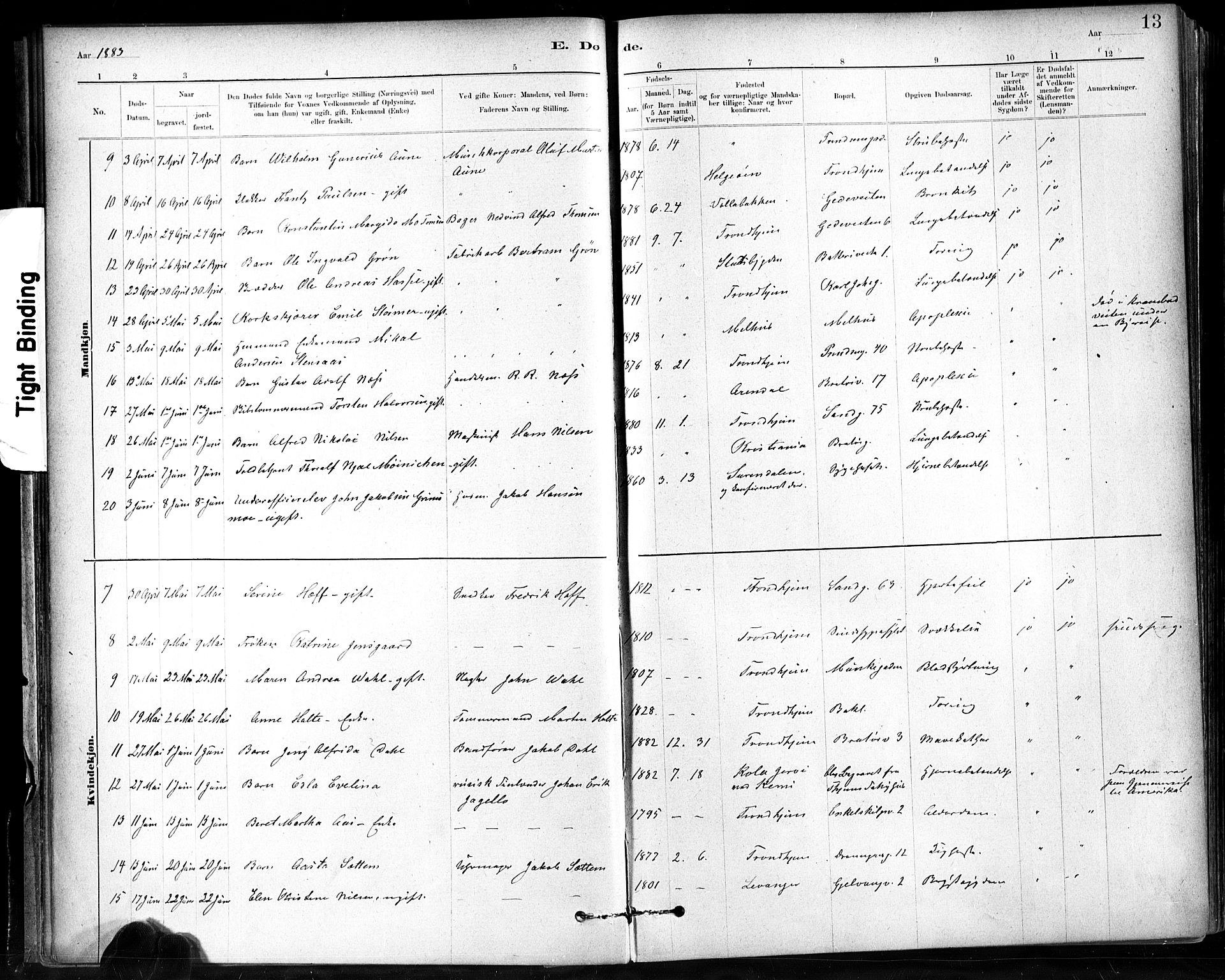 Ministerialprotokoller, klokkerbøker og fødselsregistre - Sør-Trøndelag, SAT/A-1456/602/L0120: Parish register (official) no. 602A18, 1880-1913, p. 13