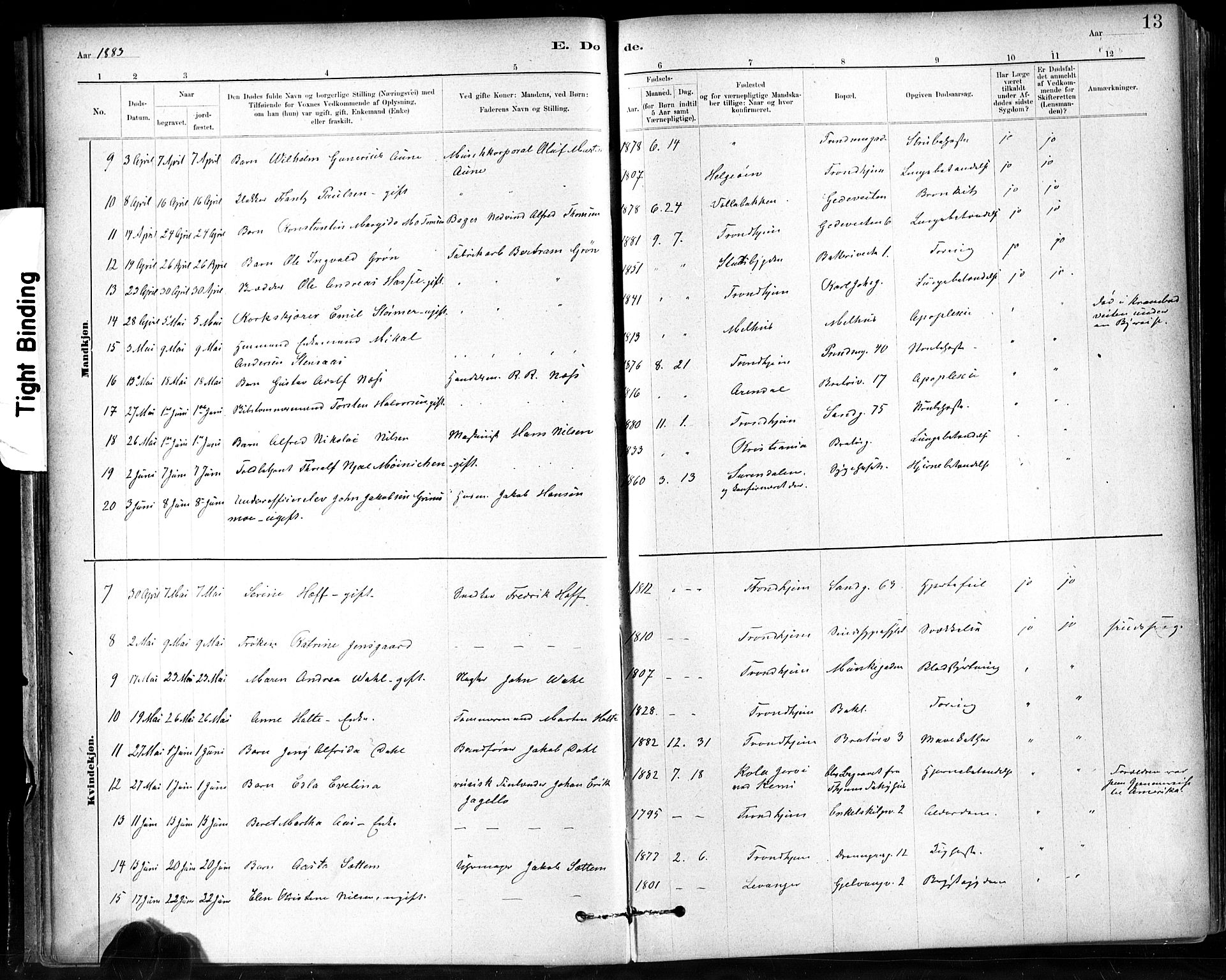 Ministerialprotokoller, klokkerbøker og fødselsregistre - Sør-Trøndelag, AV/SAT-A-1456/602/L0120: Parish register (official) no. 602A18, 1880-1913, p. 13