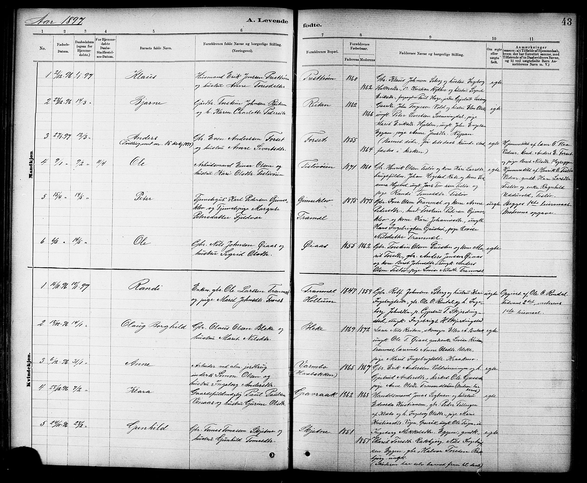 Ministerialprotokoller, klokkerbøker og fødselsregistre - Sør-Trøndelag, SAT/A-1456/691/L1094: Parish register (copy) no. 691C05, 1879-1911, p. 43