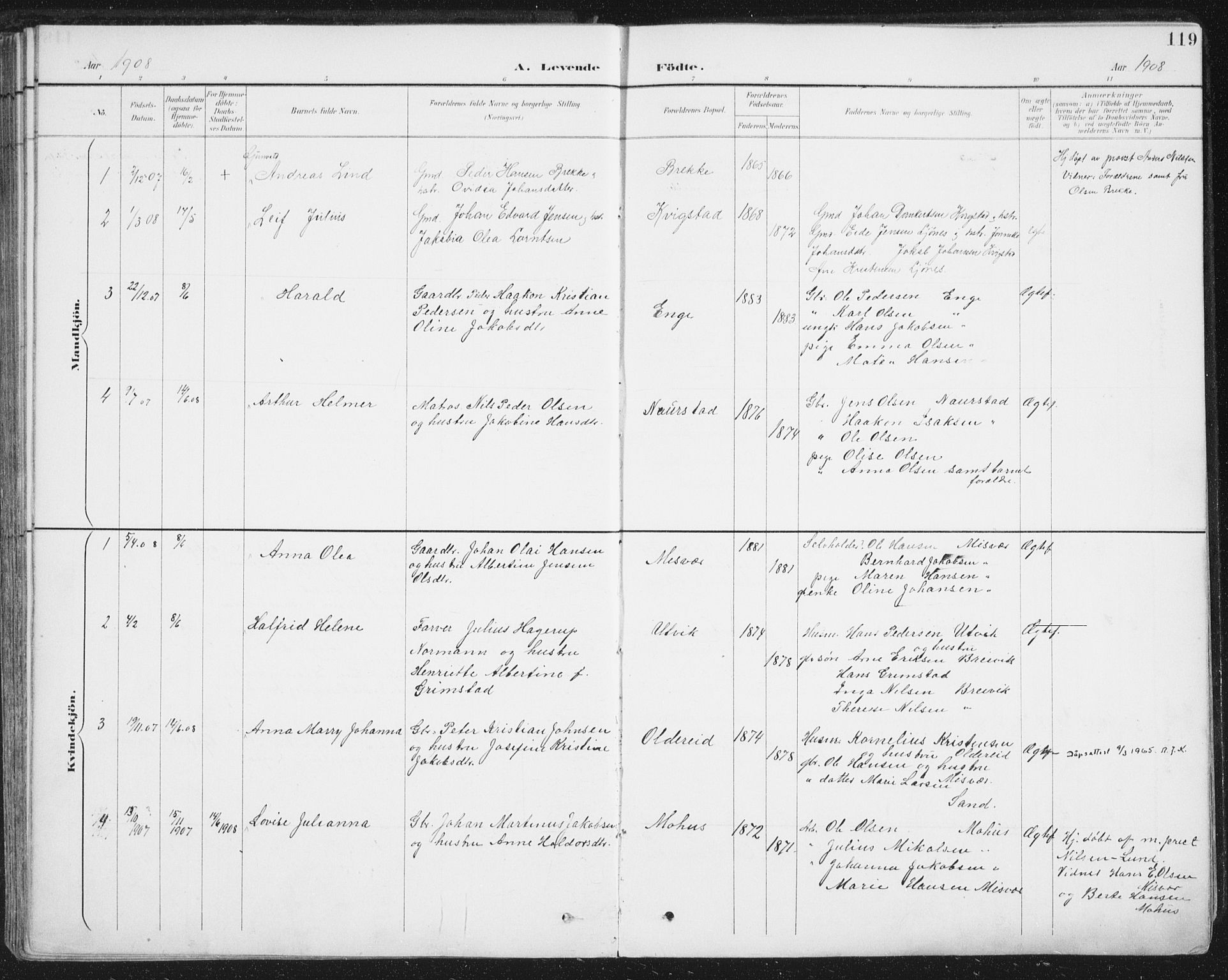 Ministerialprotokoller, klokkerbøker og fødselsregistre - Nordland, SAT/A-1459/852/L0741: Parish register (official) no. 852A11, 1894-1917, p. 119