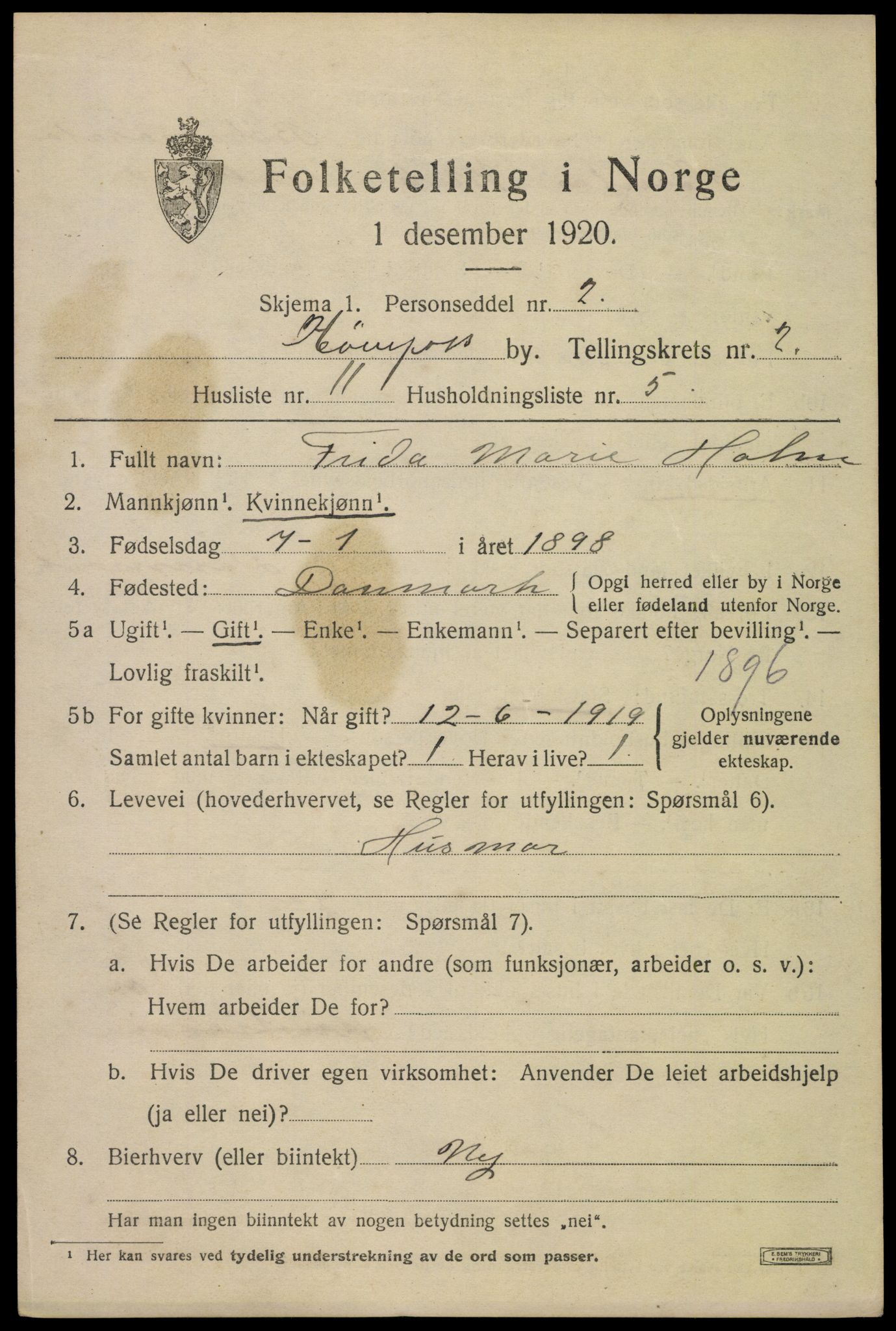 SAKO, 1920 census for Hønefoss, 1920, p. 4064