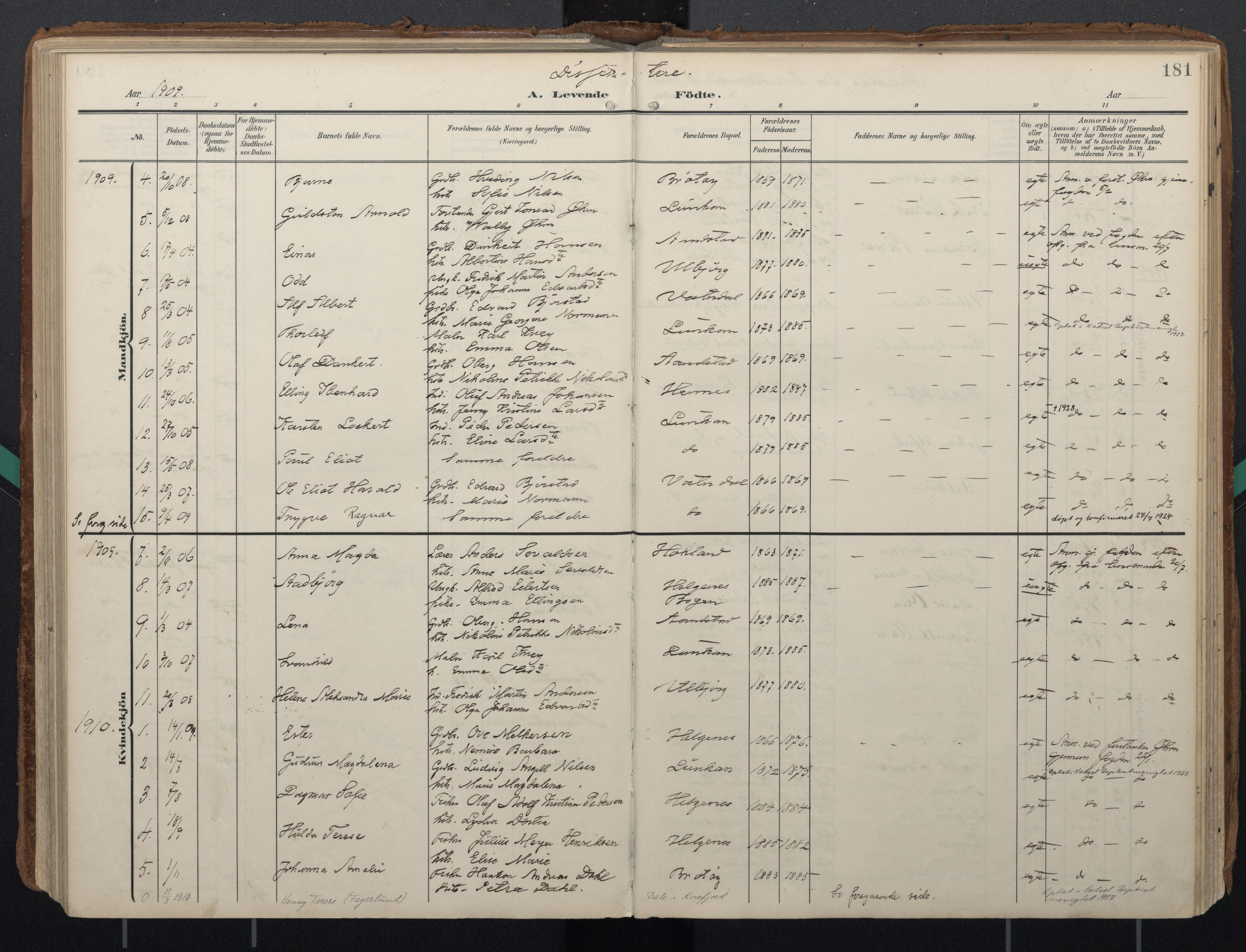 Ministerialprotokoller, klokkerbøker og fødselsregistre - Nordland, AV/SAT-A-1459/888/L1248: Parish register (official) no. 888A14, 1904-1913, p. 181